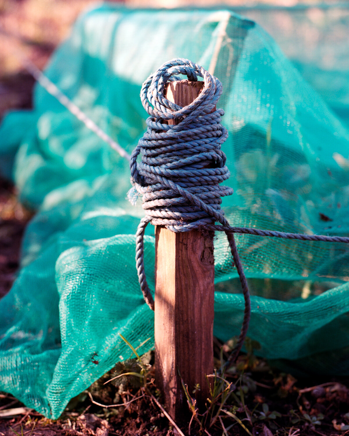 49) Rope Wrapped Around A Post - Church Side.jpg