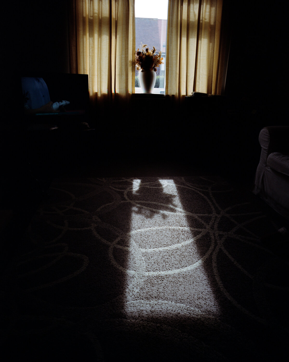 17) Long Shadow And Fake Flowers.jpg