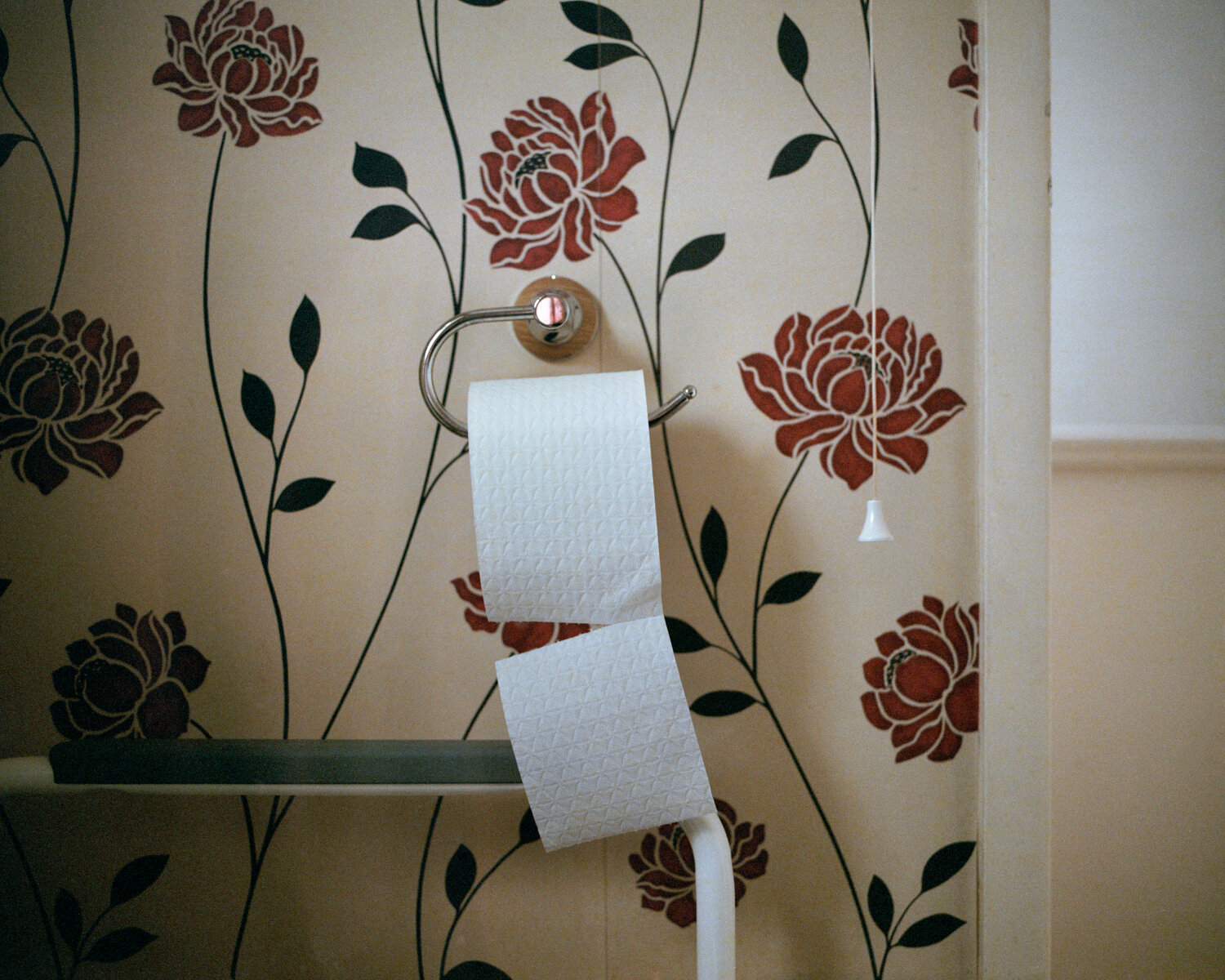 37) Nans Bathroom Toilet Paper.jpg