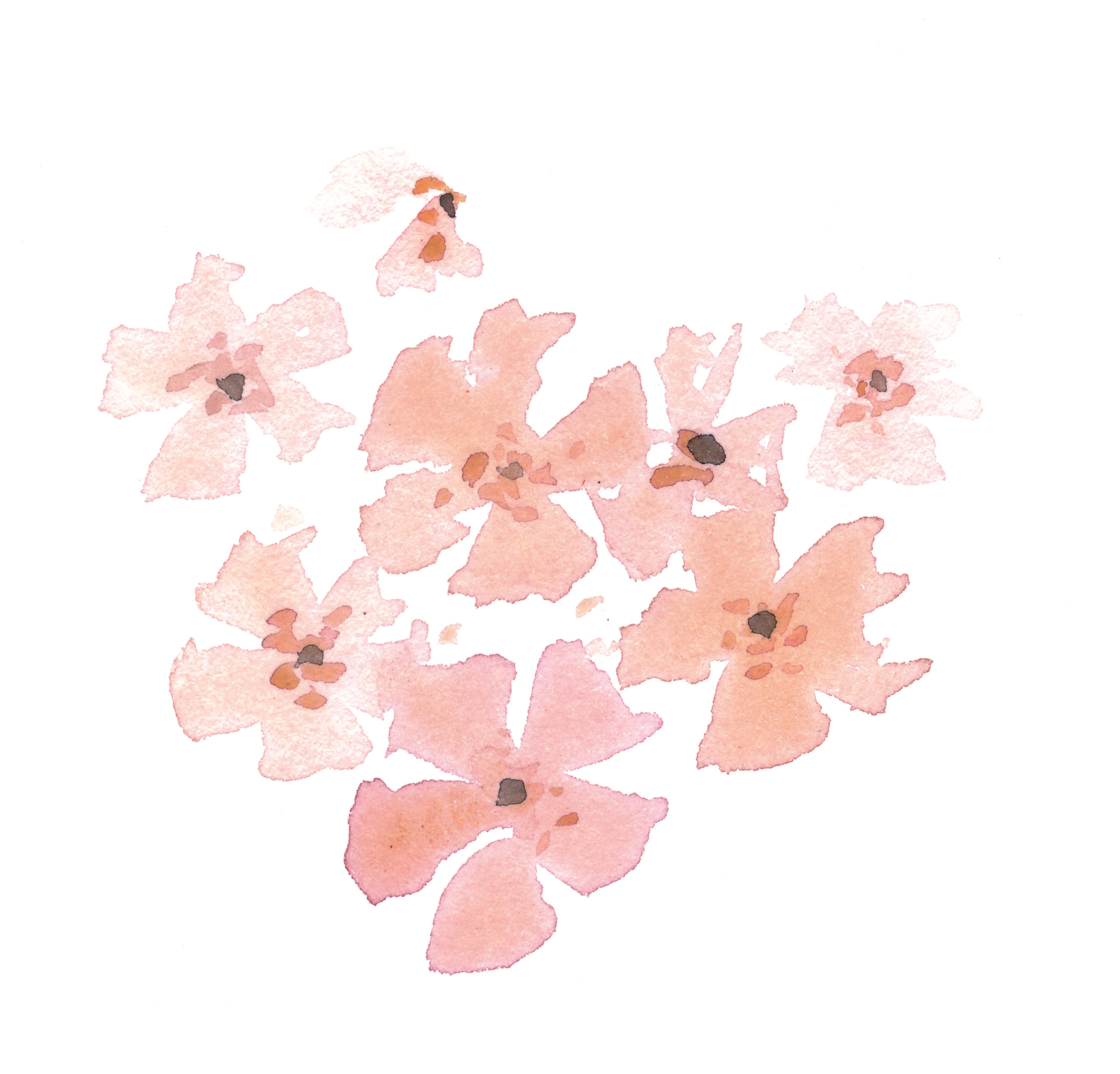 Pattern Texture.jpg