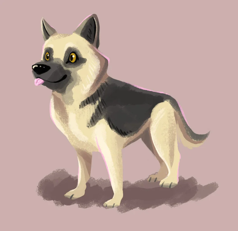 German Shepherd