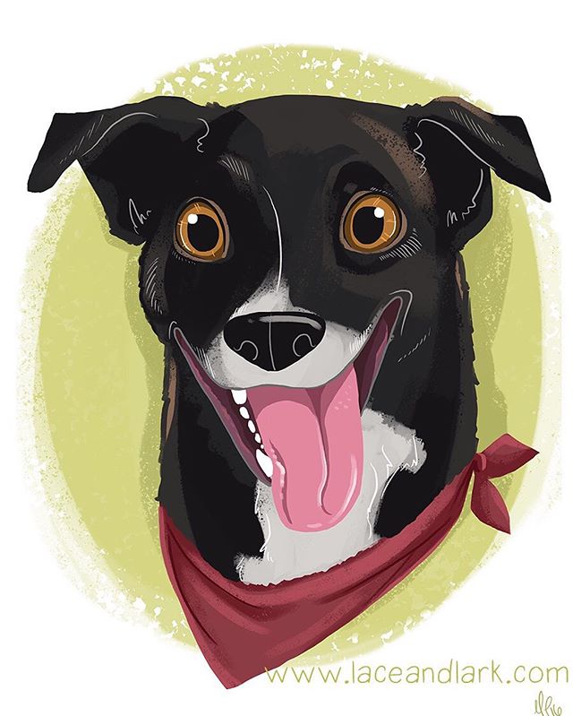 Love this portrait of Ellie! Face portraits are fun because they show so much personality! 
Message me to begin a portrait for your pet or as a gift for a pet lover in your life! 
#Instaart #art #illustration #instaartist #cartoon #cartoondog #azart 
