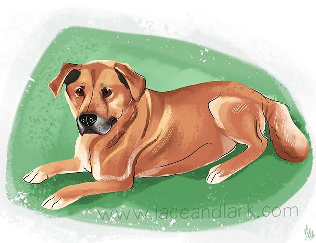 It was an honor to do this memorial piece for the brave and handsome Hobo! 
Message me to begin your own pet portrait today! They would make a great gift for he holidays! 
#illustration #drawing #art #cartoon #cartoondog #digitalart #digitalillustrat