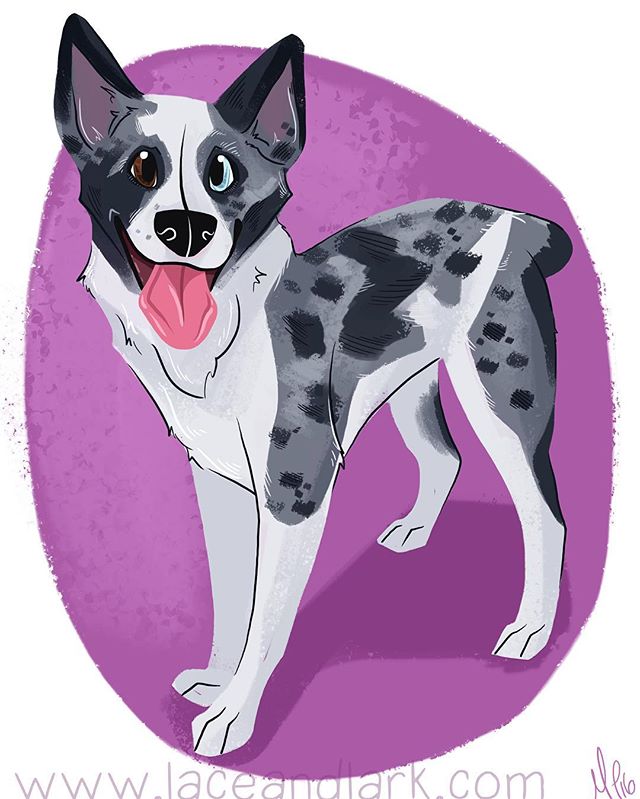 The dog so nice we drew it twice! Here's the full body version of Leeloo's portrait! Thank you @sleepwoehlcker! Email me at Melanie@laceandlark.com to start your own pet portrait! 
#digitalart #digitalillustration #art #illustration #cartoon #cartoon