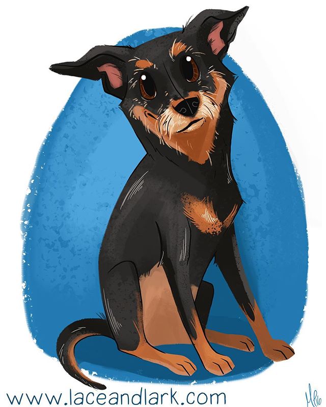 I loved drawing all of Rizzo's whiskers! Email me at Melanie@laceandlark.com to start your own pet portrait today! 
#petportait #art #illustration #cartoondog #portrait #digitalillustration #digitalart #cartoon #azartist #azart #laceandlark #mutt #mi