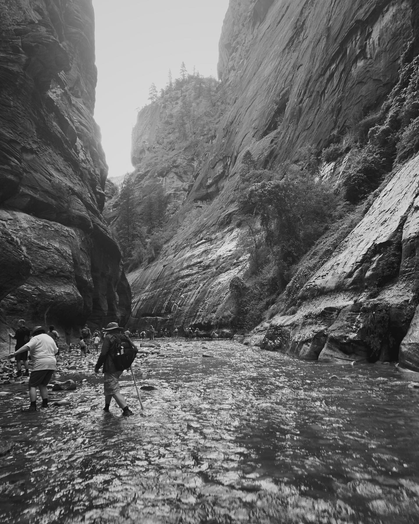 THIS MIGHT APPLY TO YOU SO LISTEN UP LOL

Today we went to Zion to hike the narrows. It&rsquo;s a river that runs through a corridor of mountains and it was life changing. Best hike I&rsquo;ve ever done.

But the REAL story is what transpired on the 