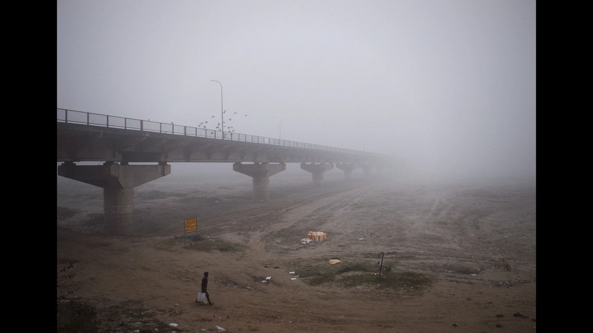 Timeline 1_01_02_08_24.jpg