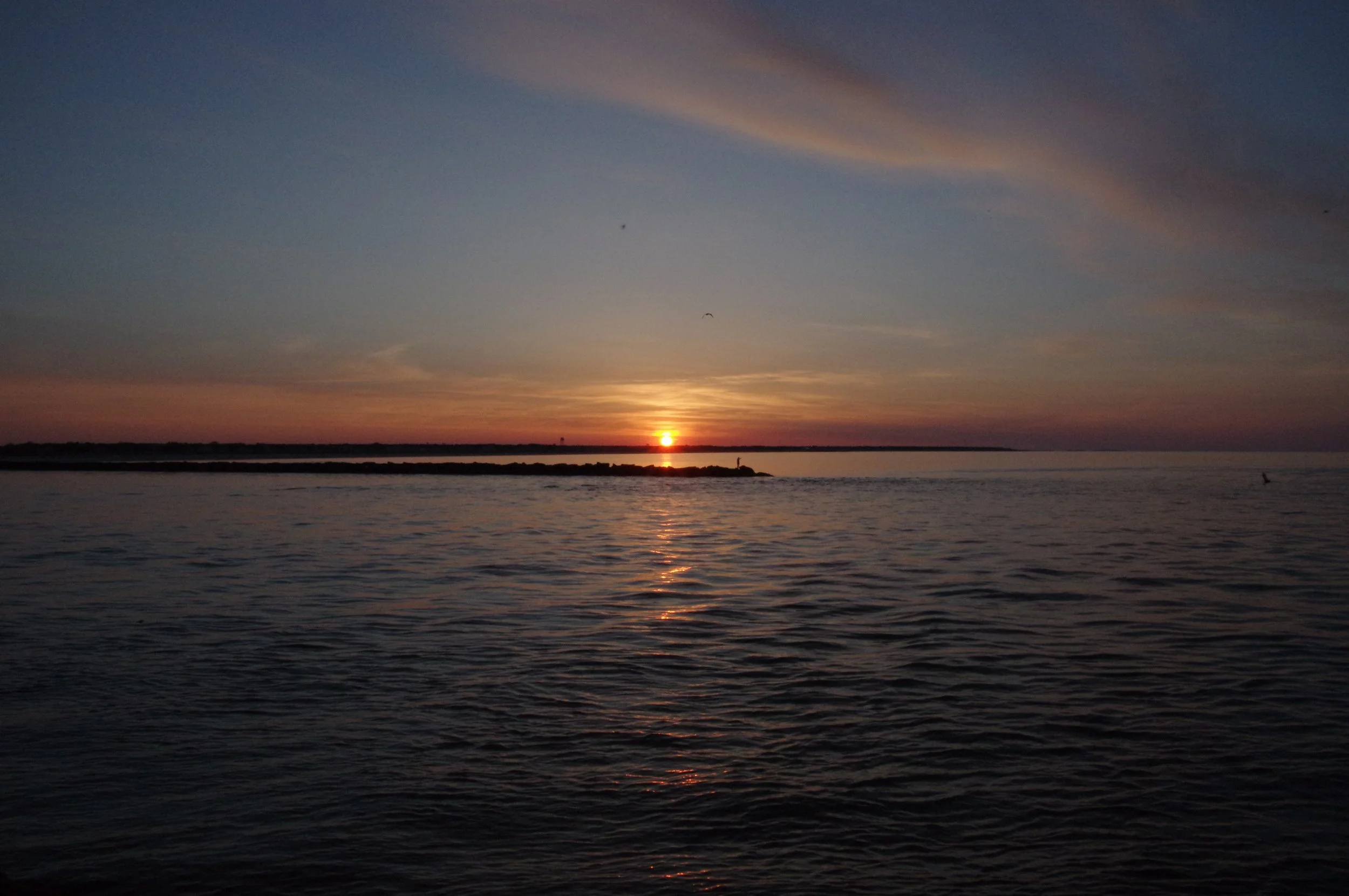 IMG_4739.JPG