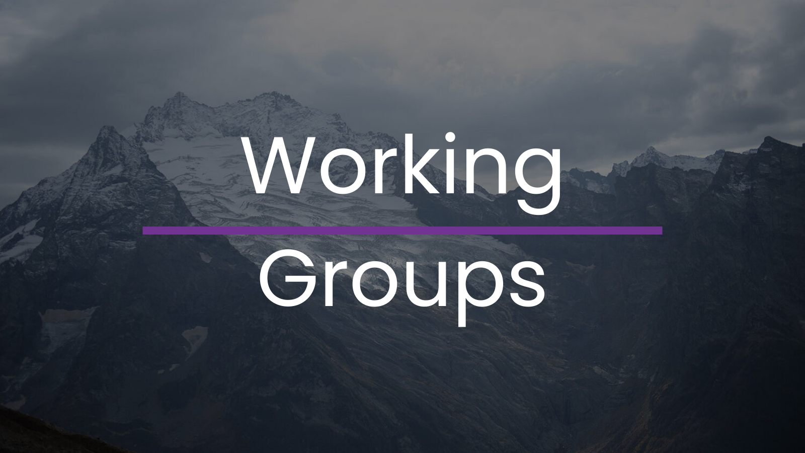 Working Groups