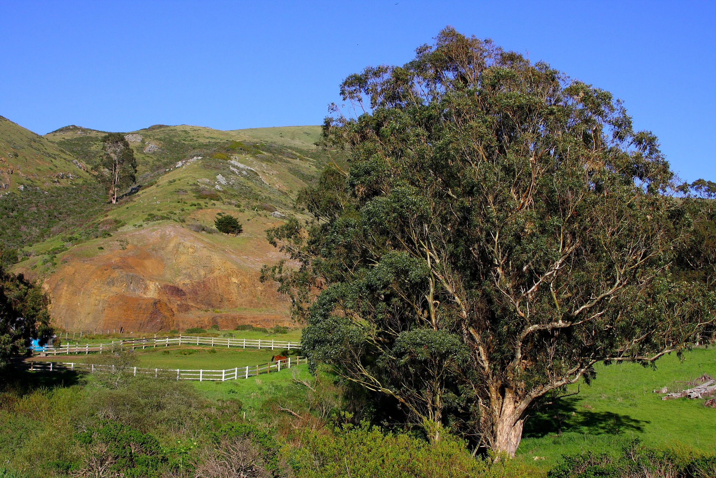 TenneseeValley_3-23-085700.jpg