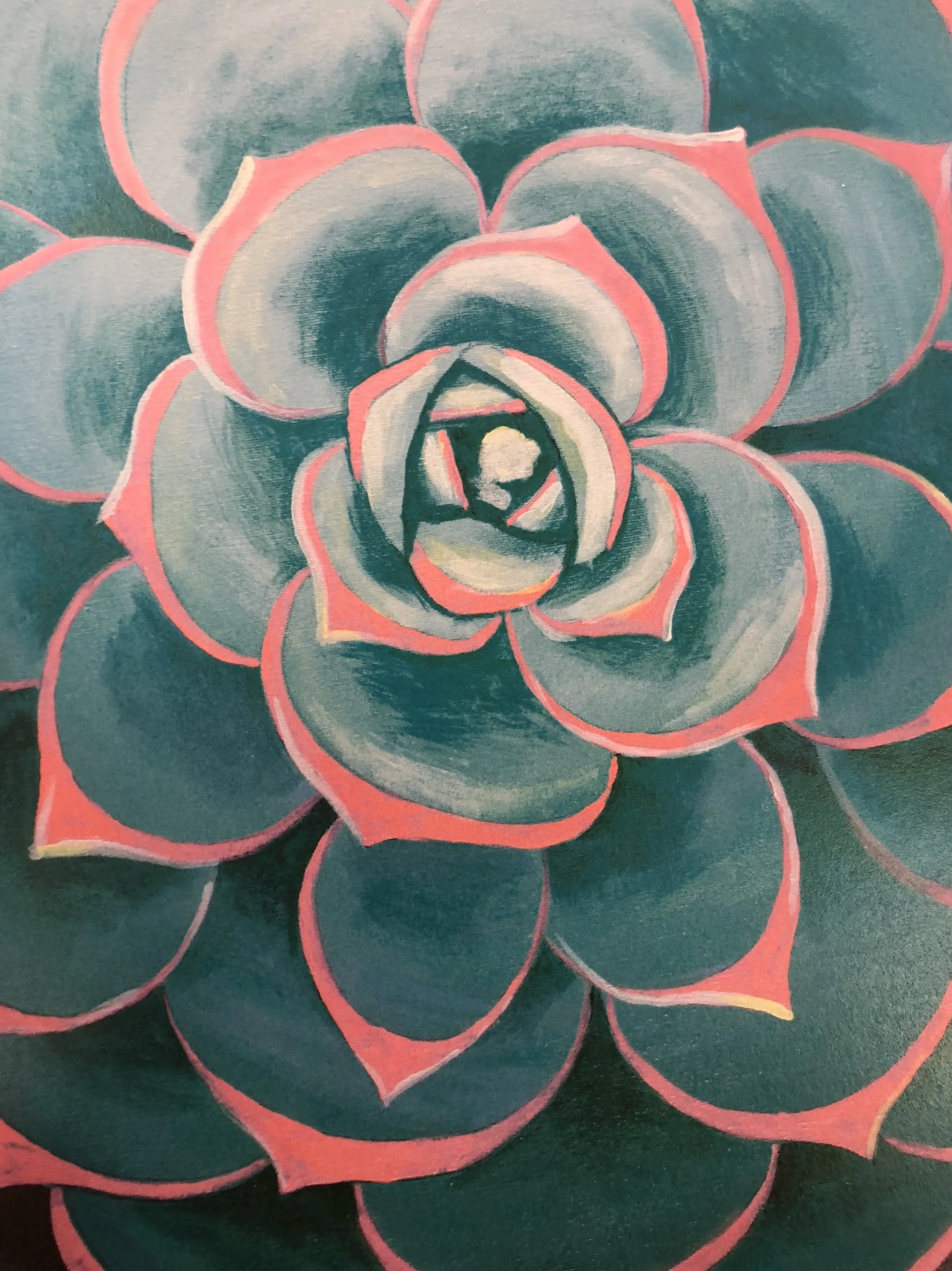 Succulents