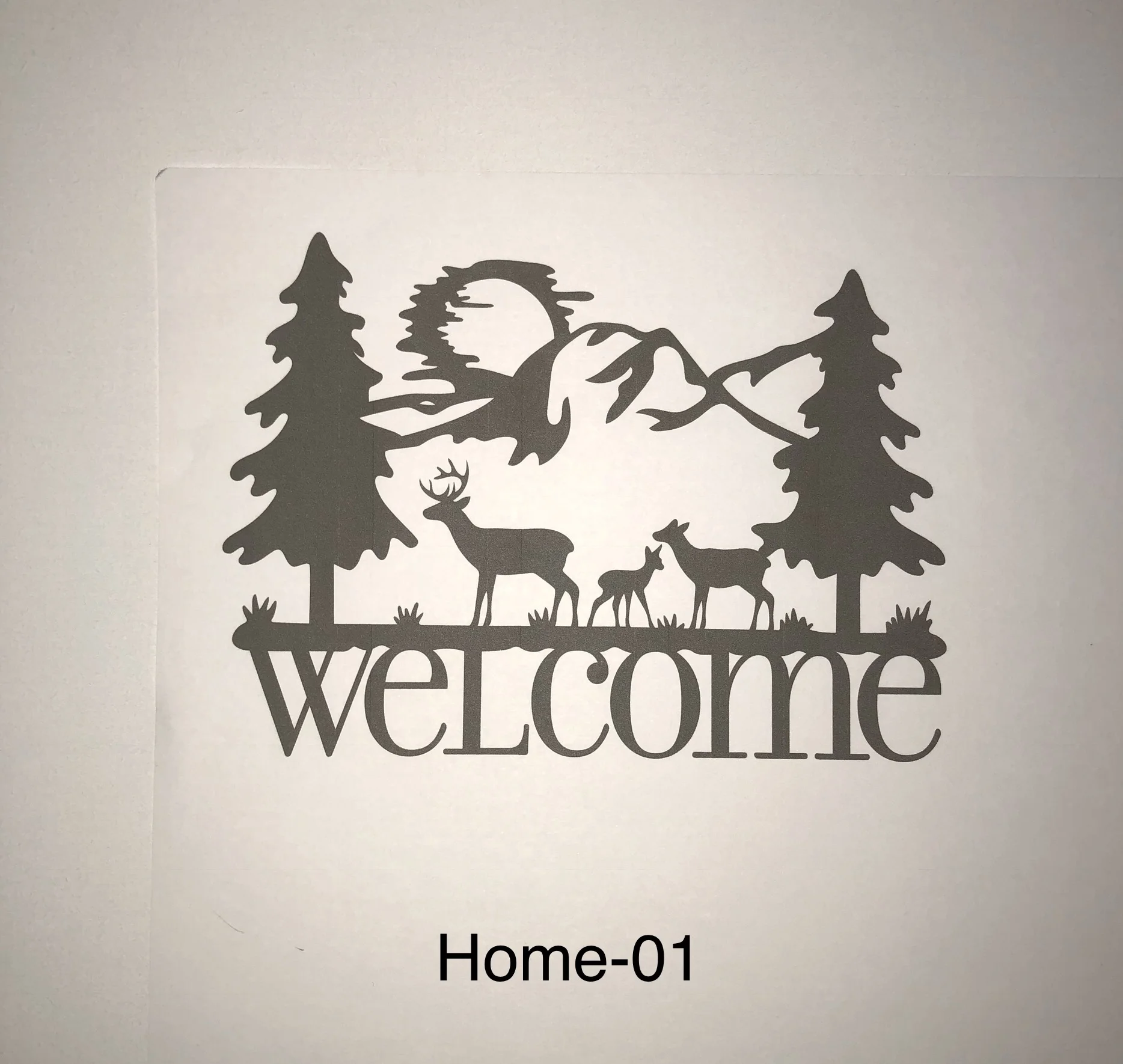 Home 1.jpg