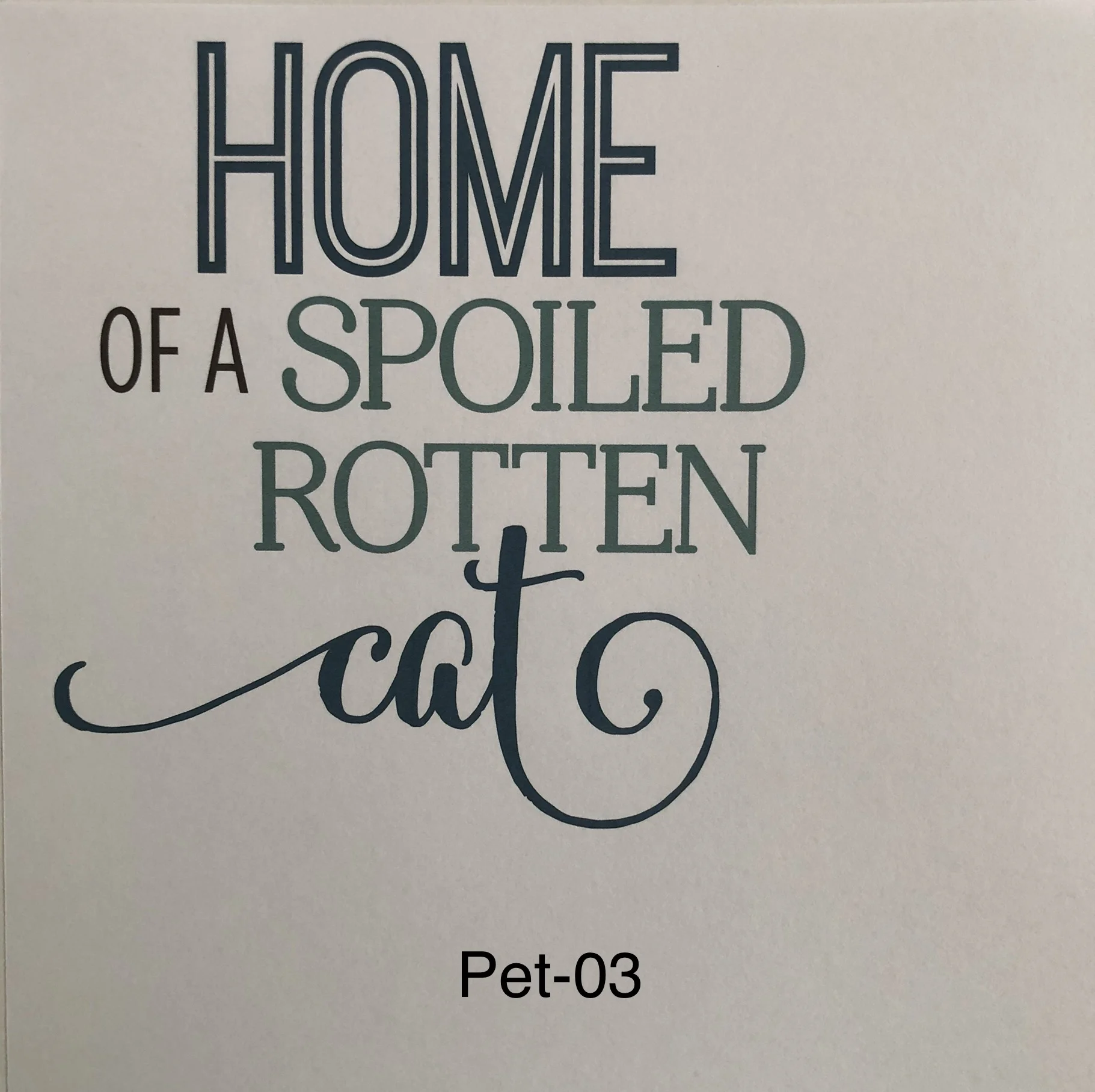 Pet 3.jpg