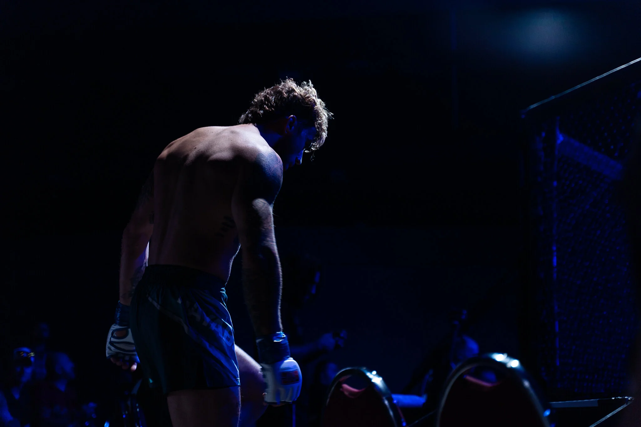 Do you have what it takes to be the next best fighter?