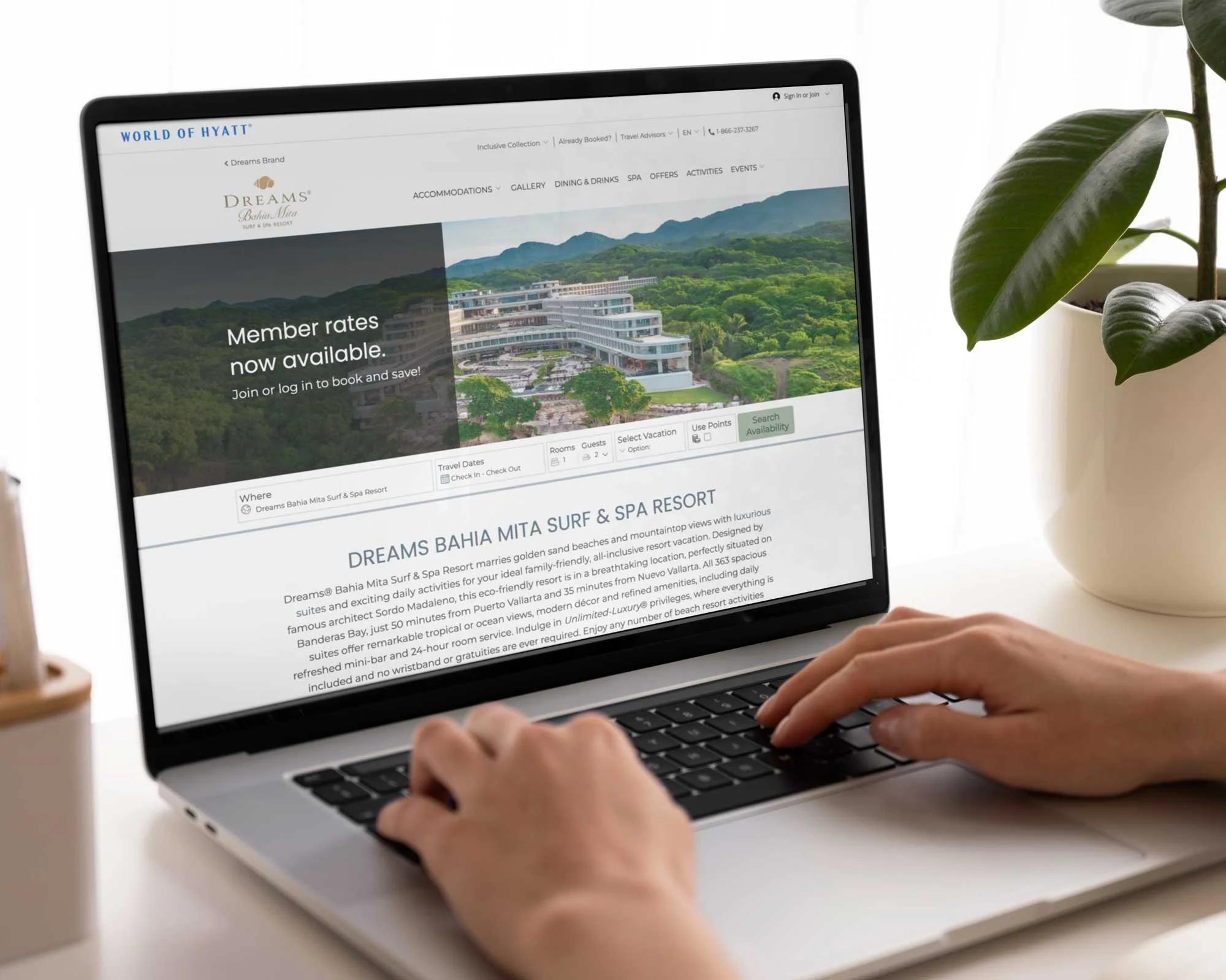 DRE-Web-Design-Image.jpg
