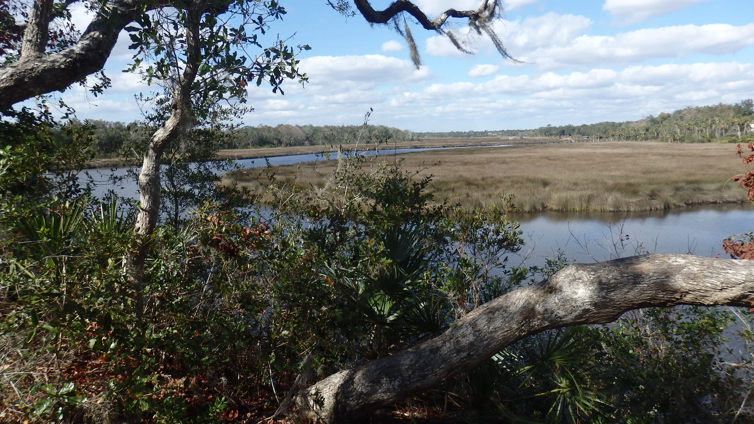 Hiking the Doris Leeper Trails