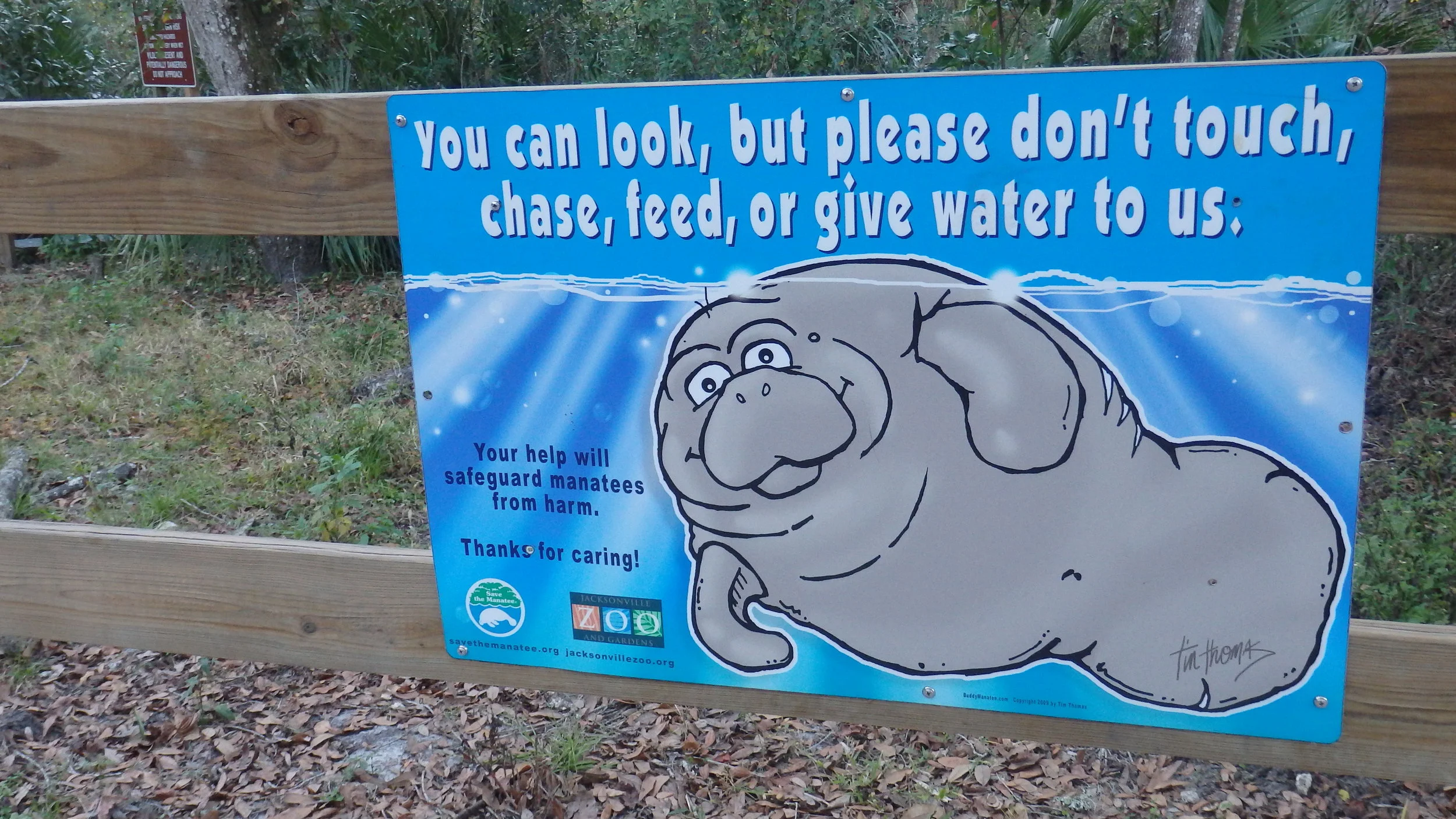 Why would I want to give water to something that lives in water?