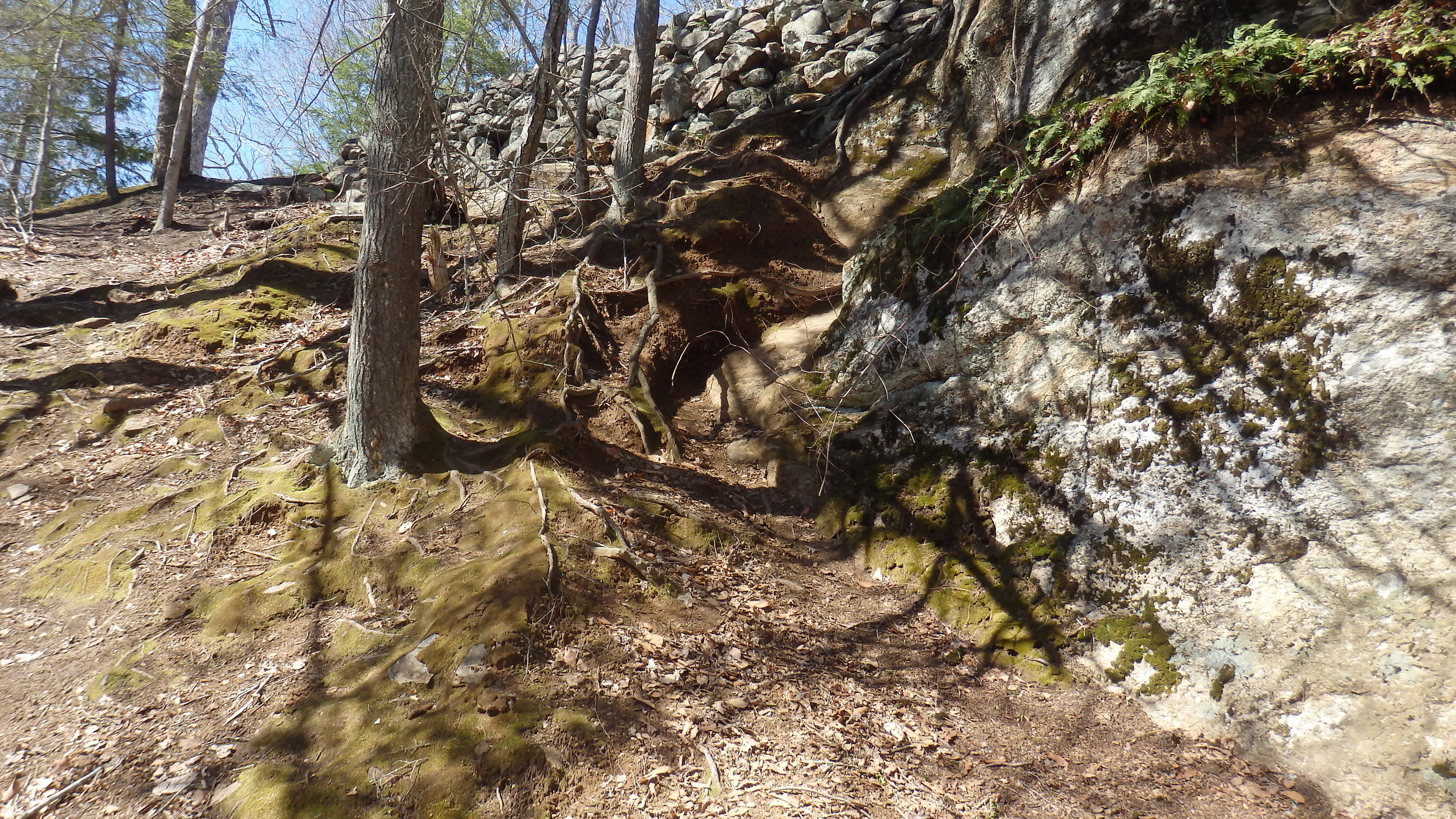 P4180641.JPG