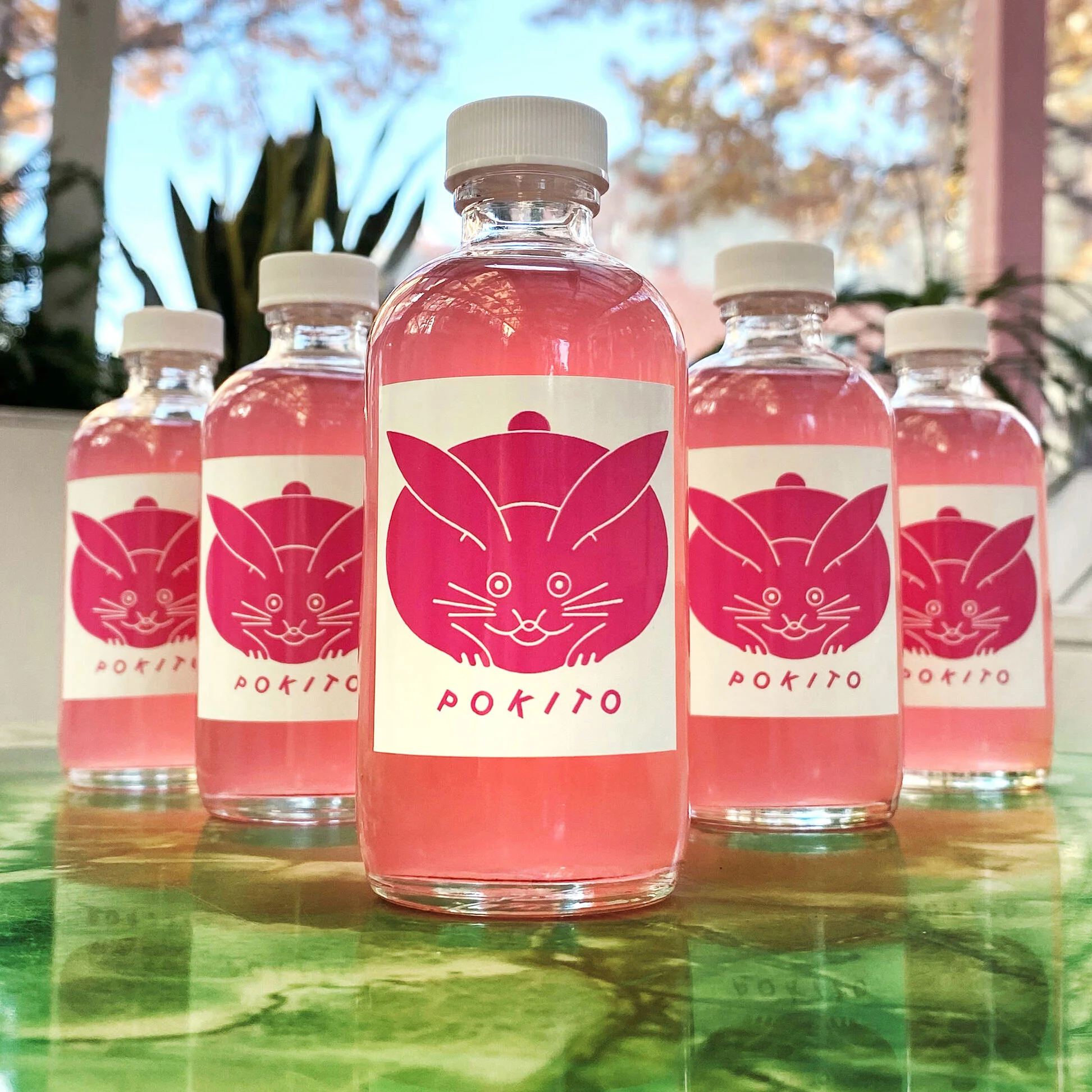 6 pack Hibiscus Margarita