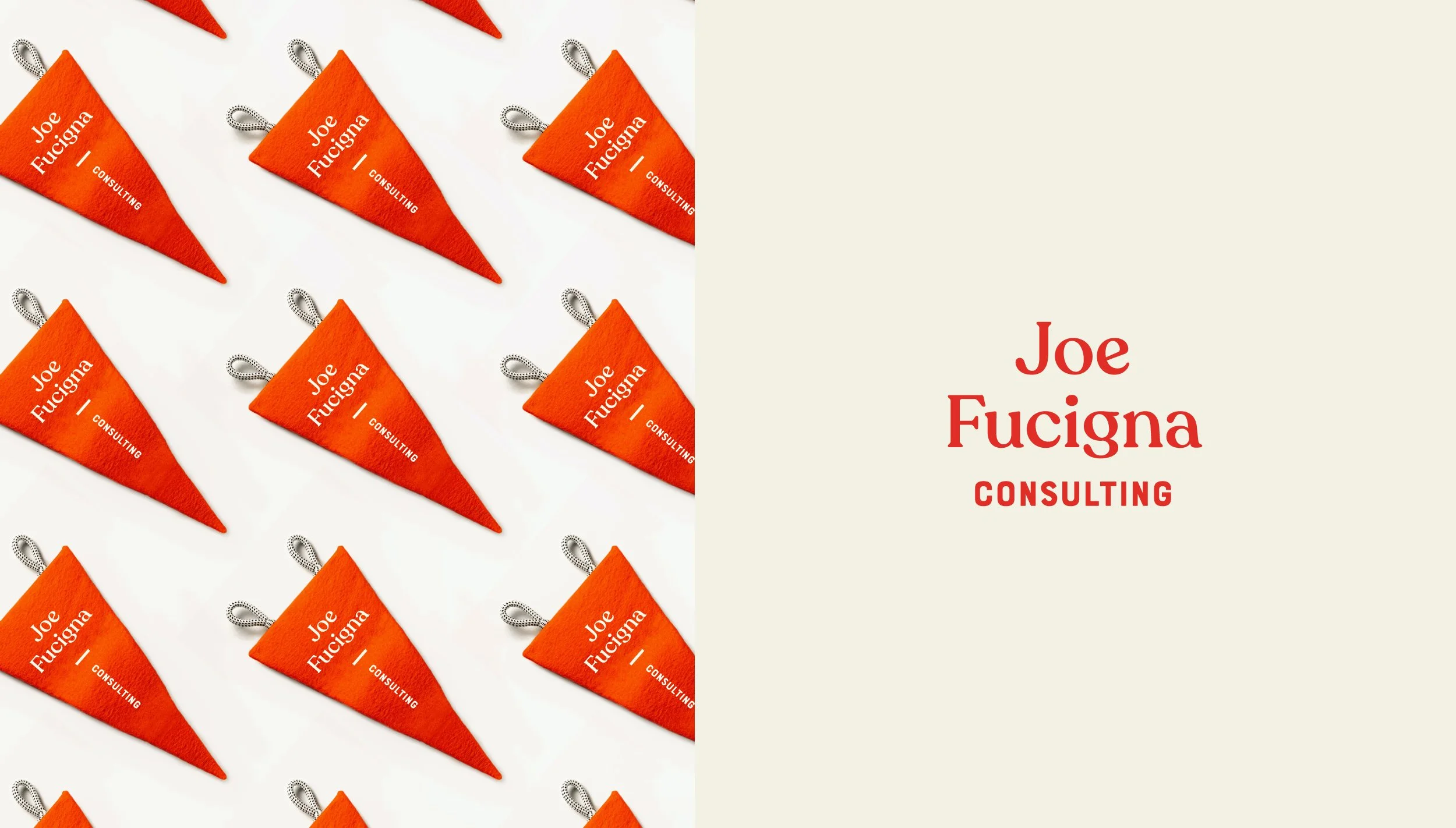 Joe Fucigna Consulting