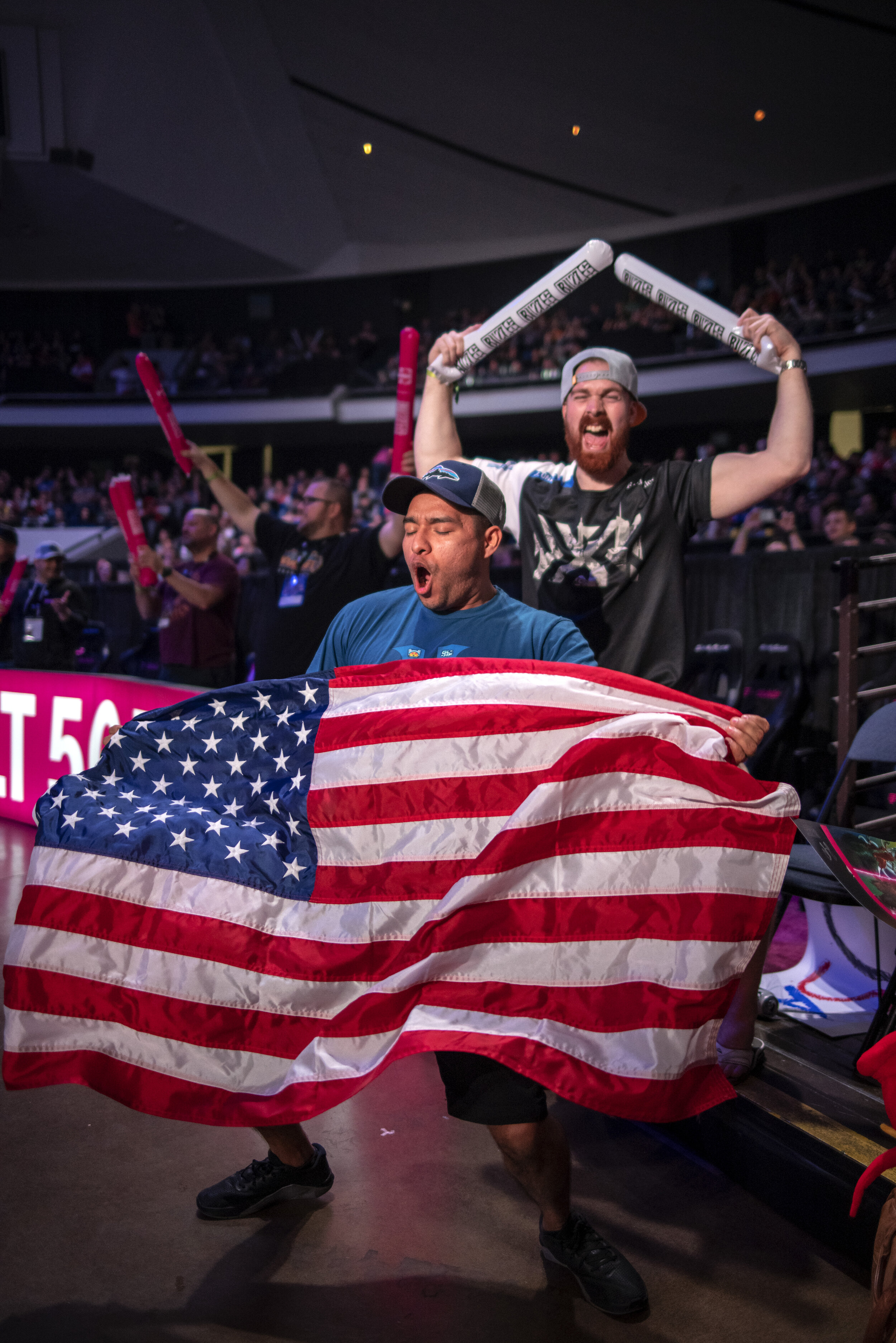 Fans Cheer on Team USA at the 2019 Overwatch World Cup