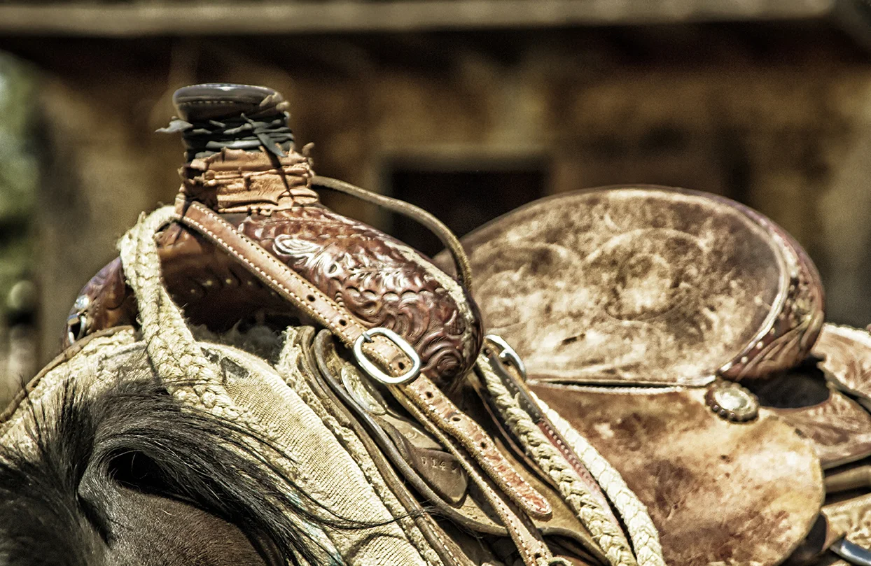 Saddle.jpg