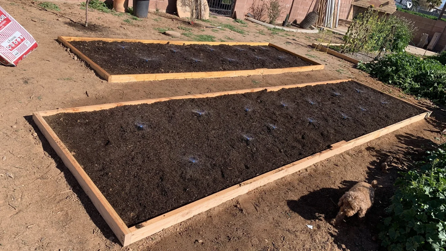 Garden Beds episode artwork