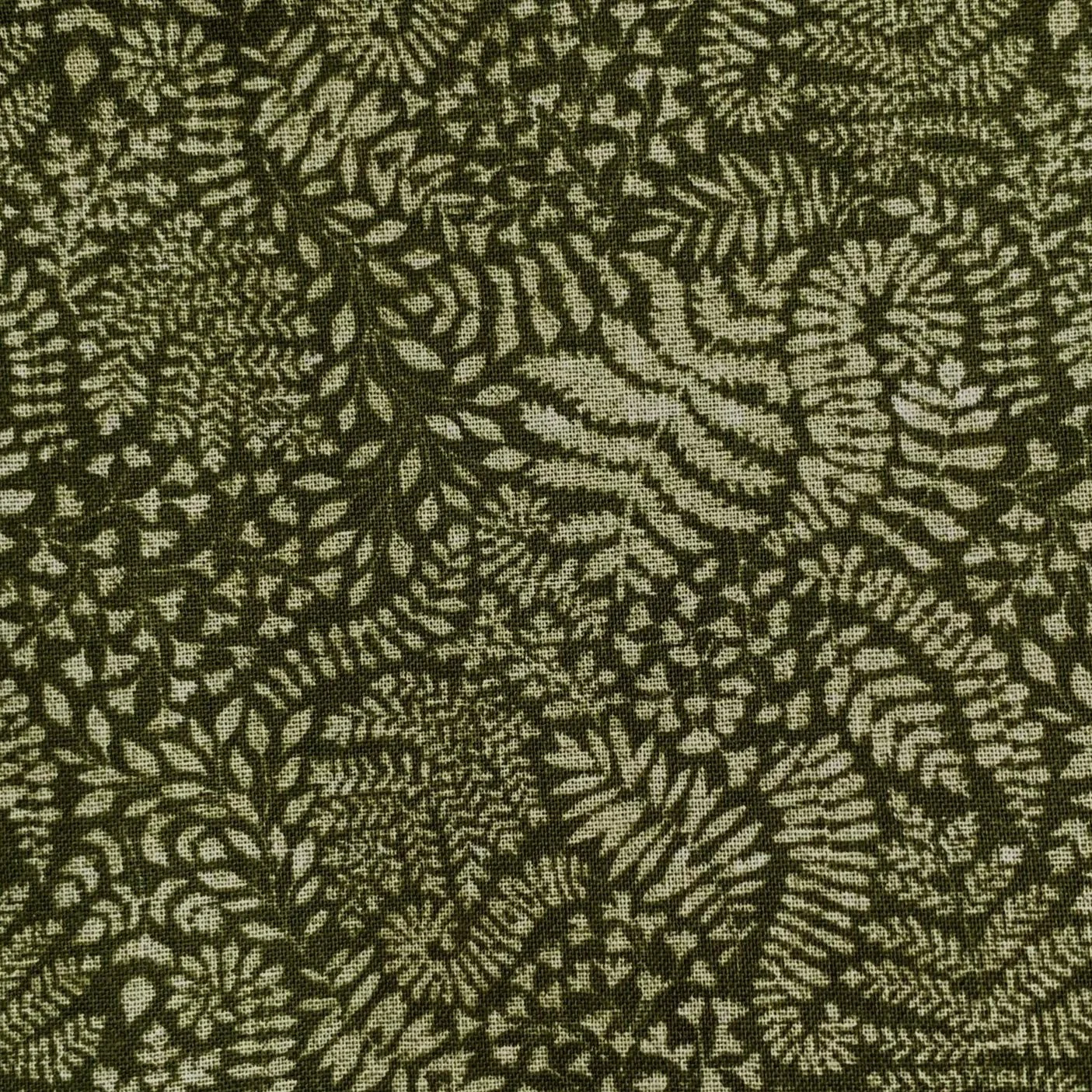 2023-12-01 08.58.44.jpg