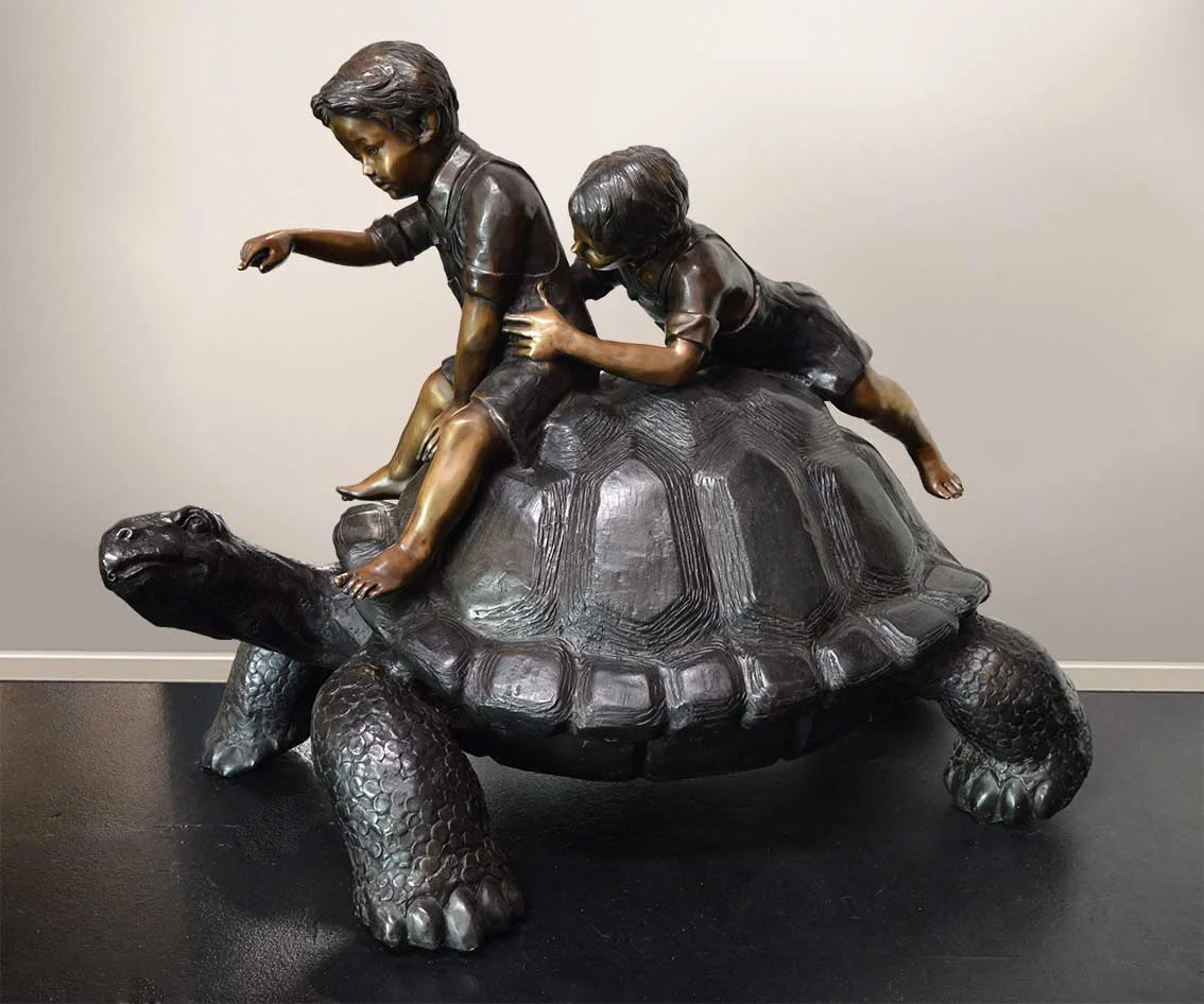 Boys and Turtle