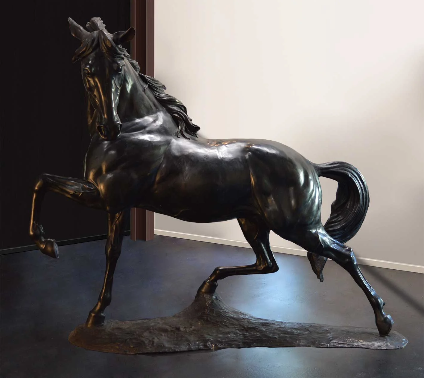 Black Stallion