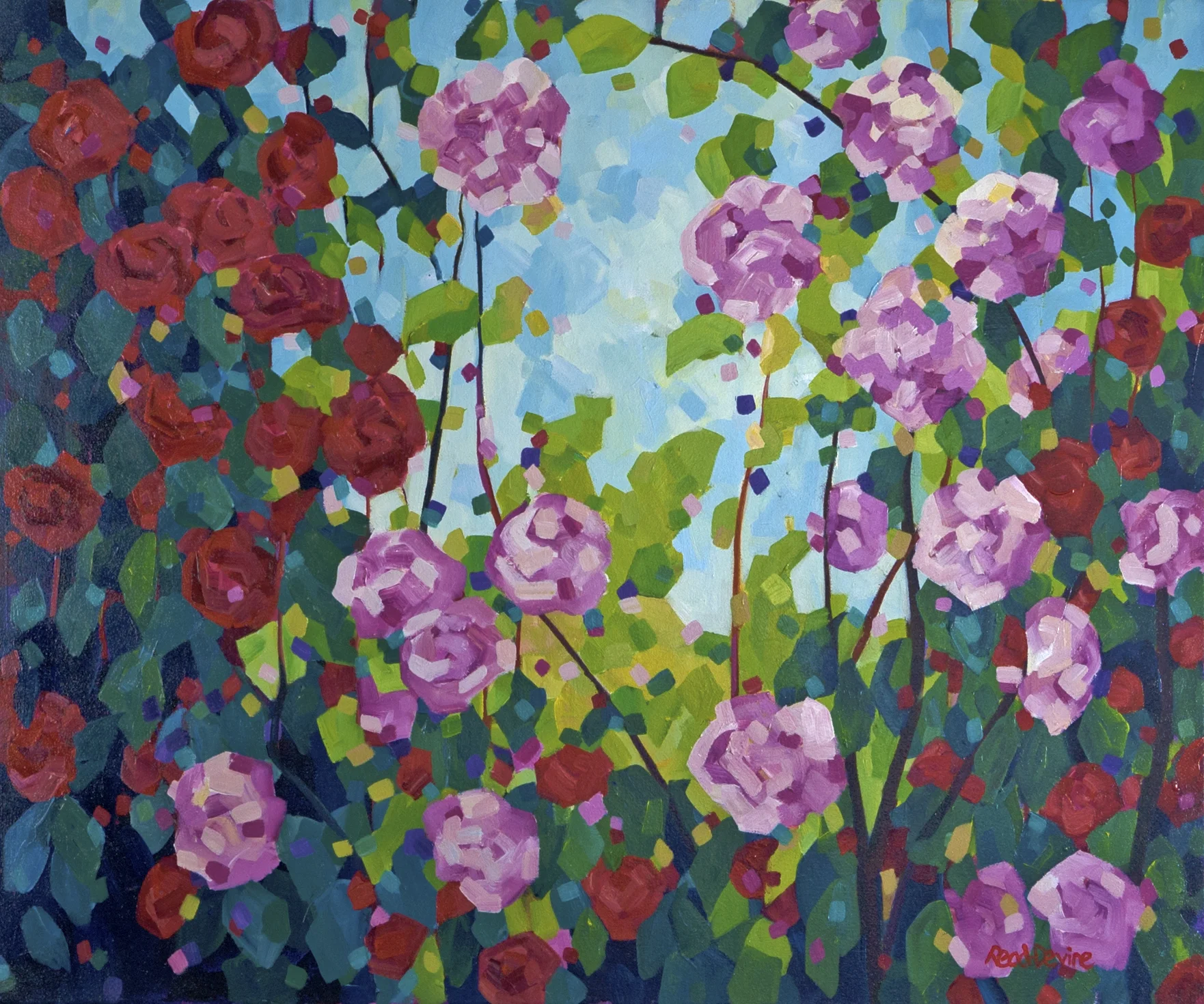 " Camellias "
