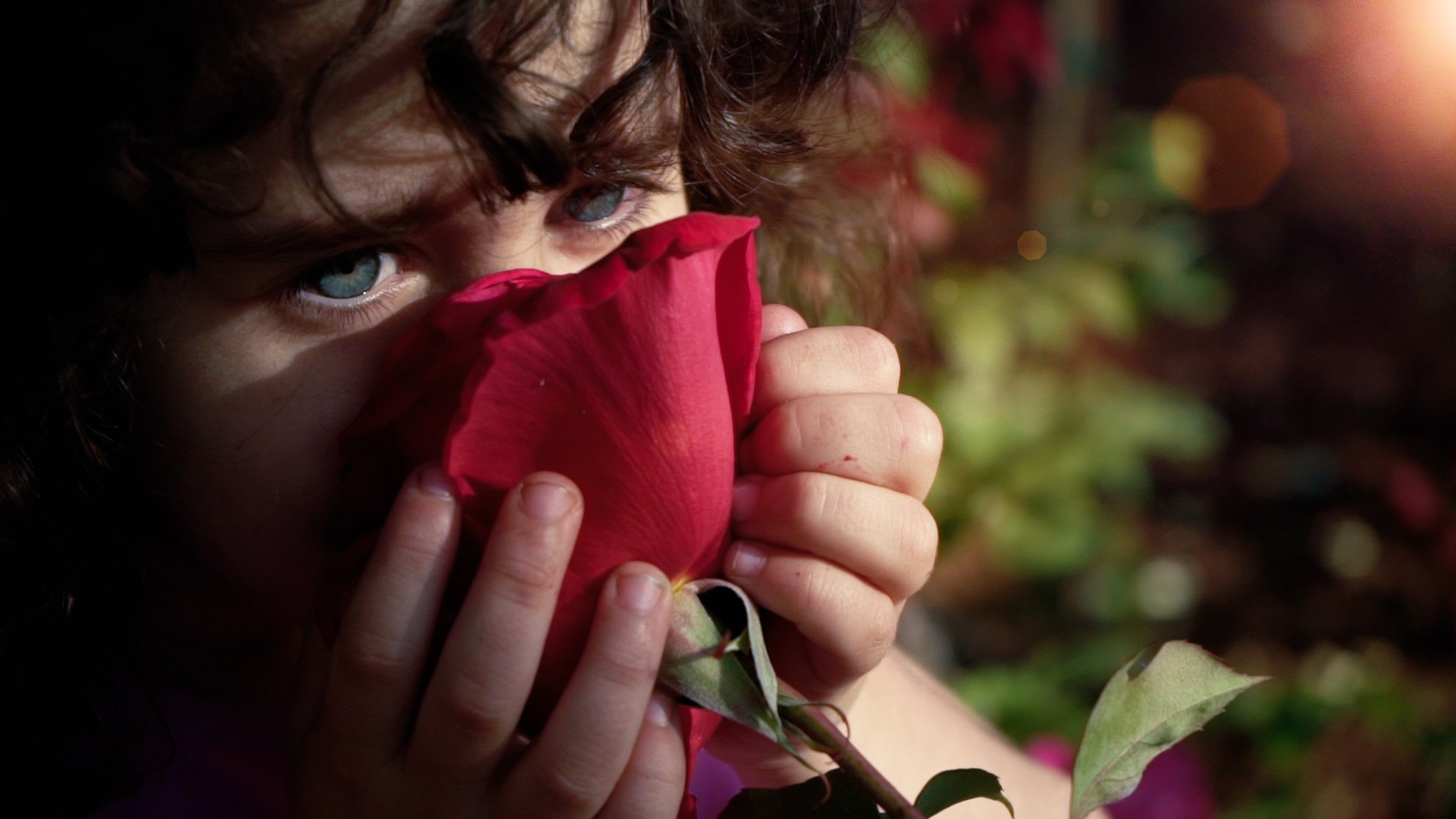 Video: Your Rose Garden