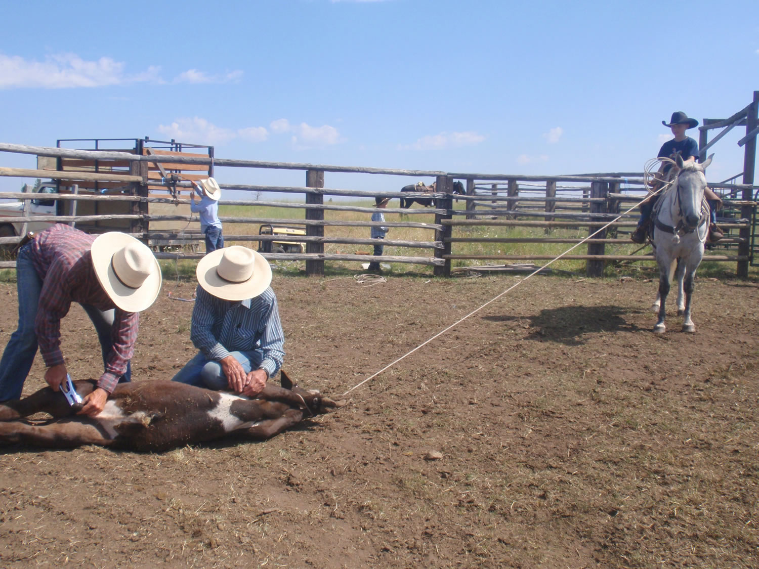 grass-fed-beef-familyP8050322.jpg