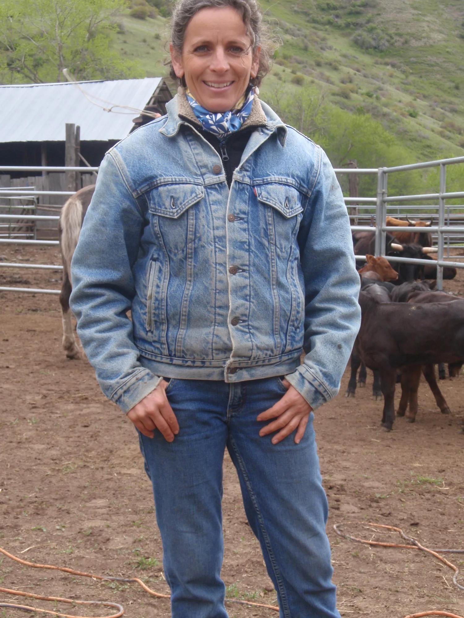 grass-fed-beef-springP5080084.jpg