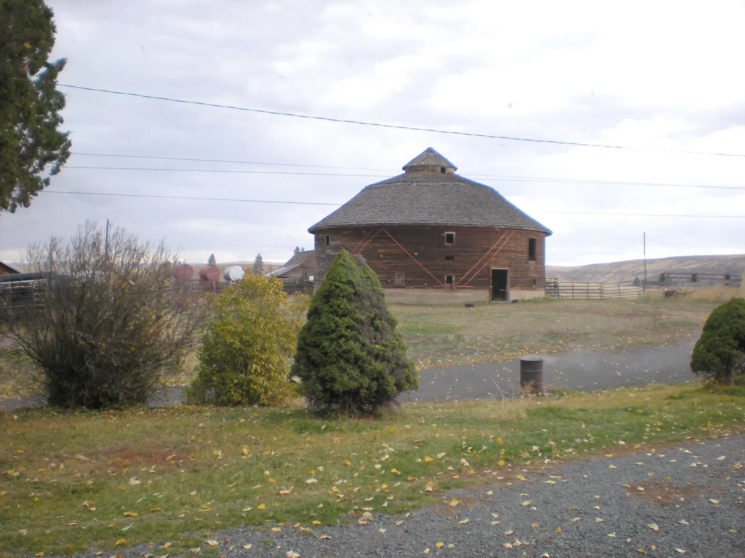 grass-fed-beef-fall081.jpg
