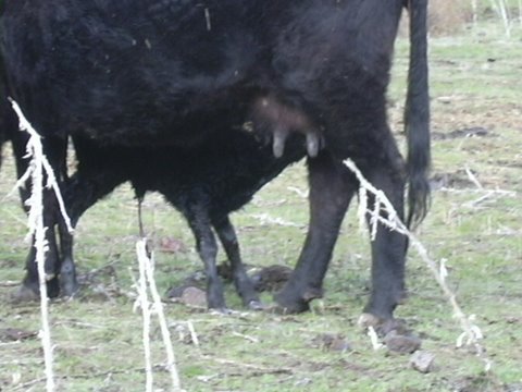 DSCN0067.JPG