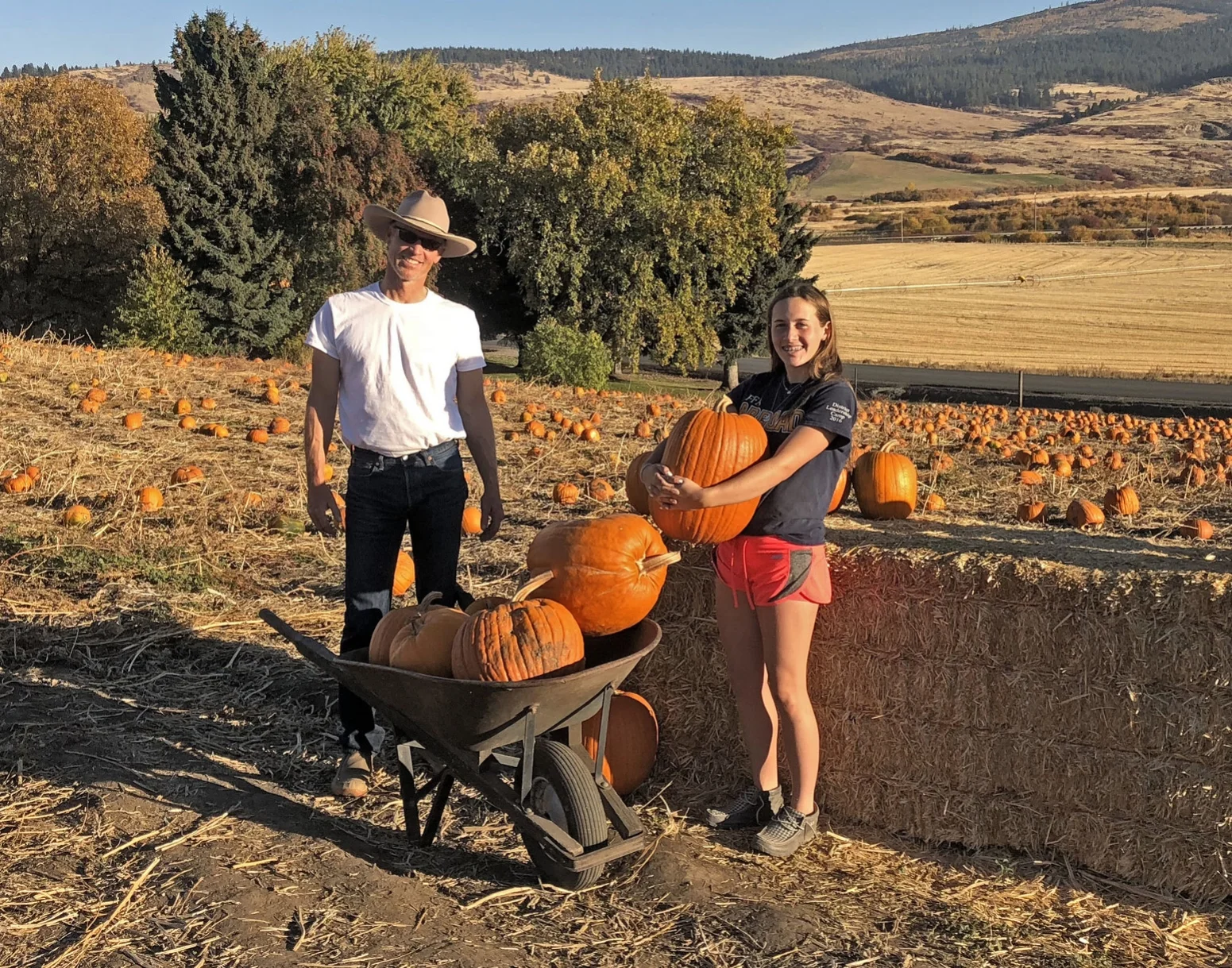 The perfect Pumpkin!