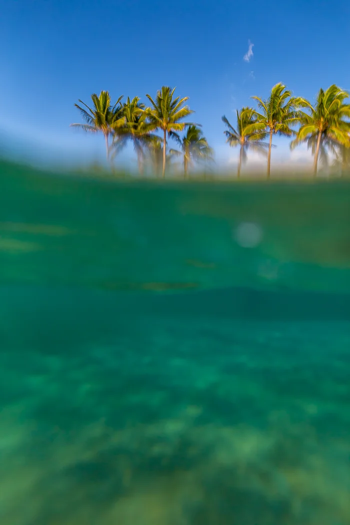 Maui-Underwater-Family-Photography-6.jpg