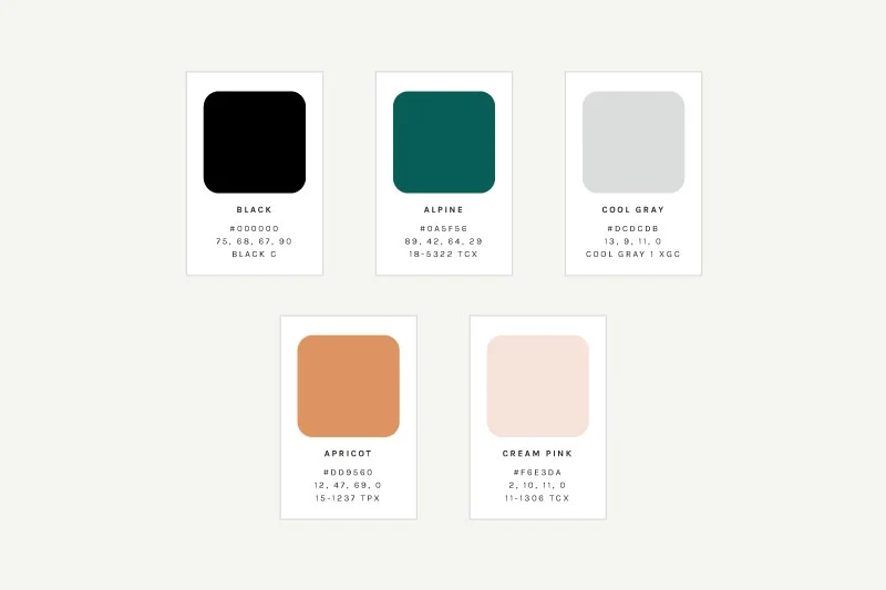 Color Palette