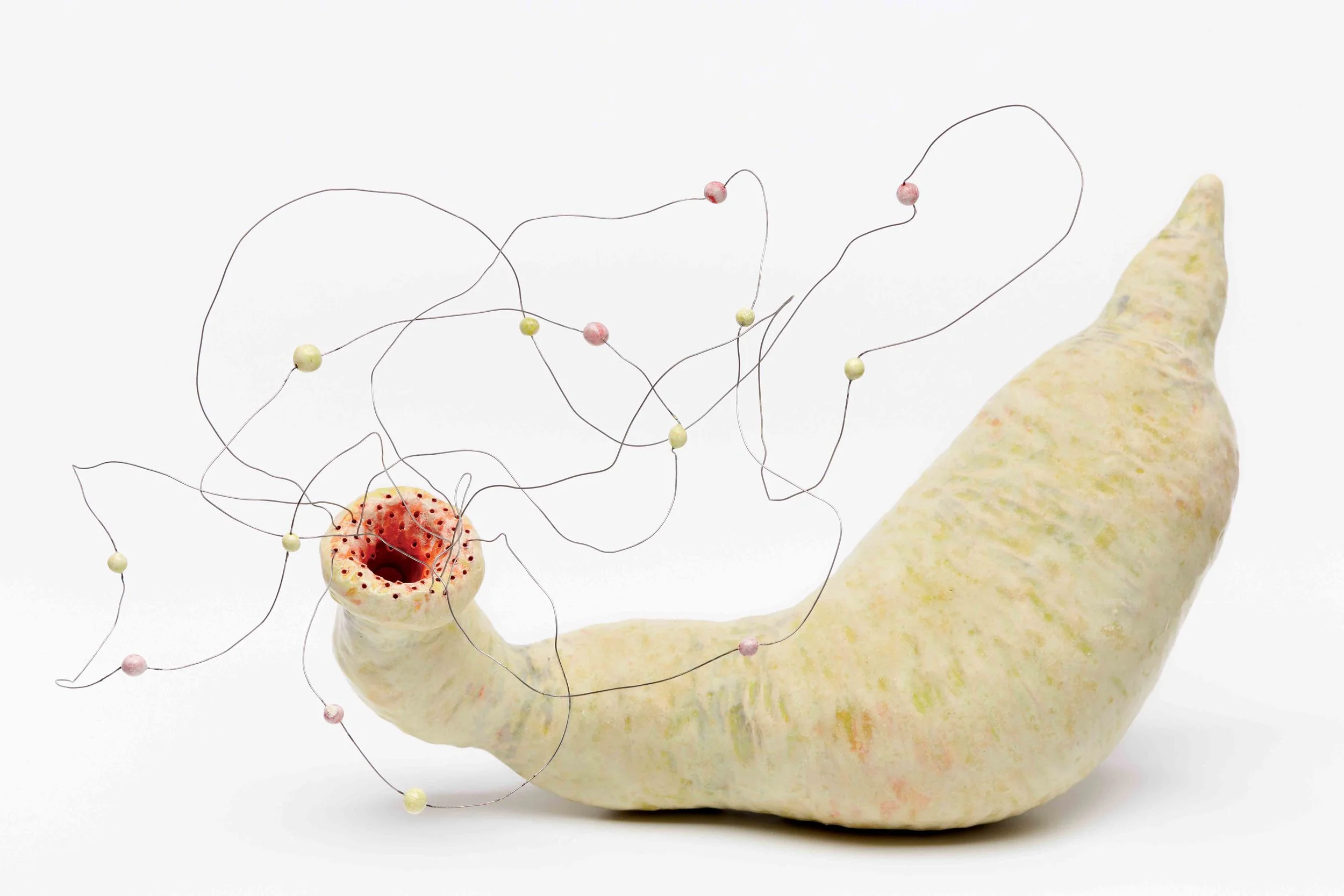 Cloudworm