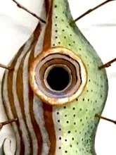 The Workhouse Arts Center 13th Annual Clay International