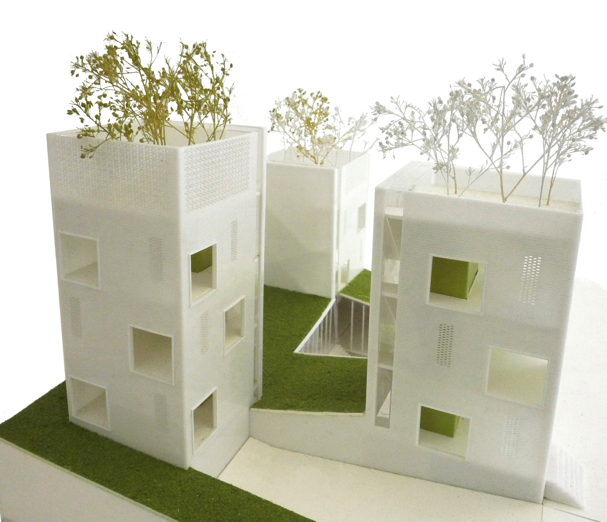 ORDOS MODEL_adjusted.jpg