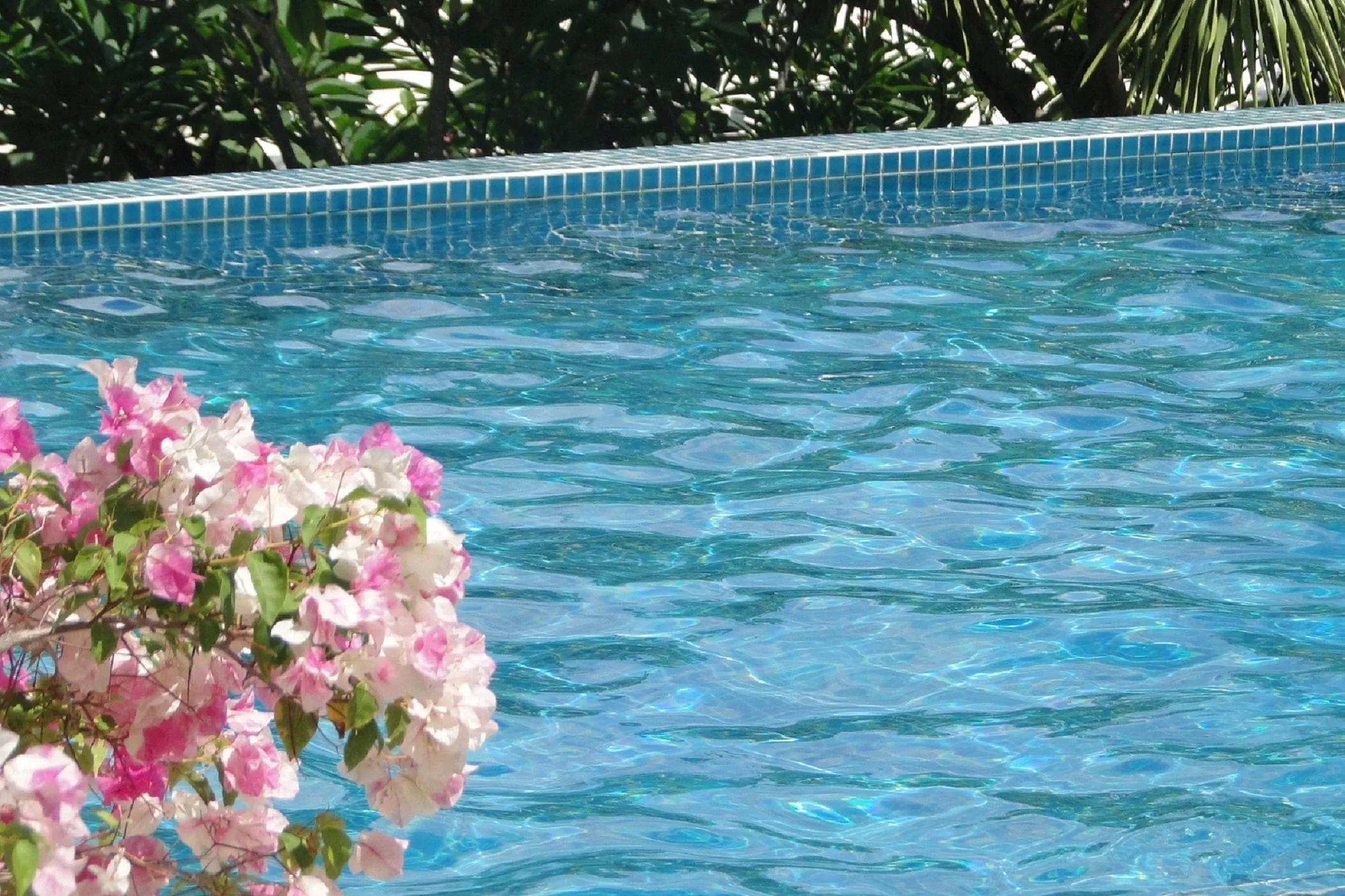 How to know if your swimming pool is leaking