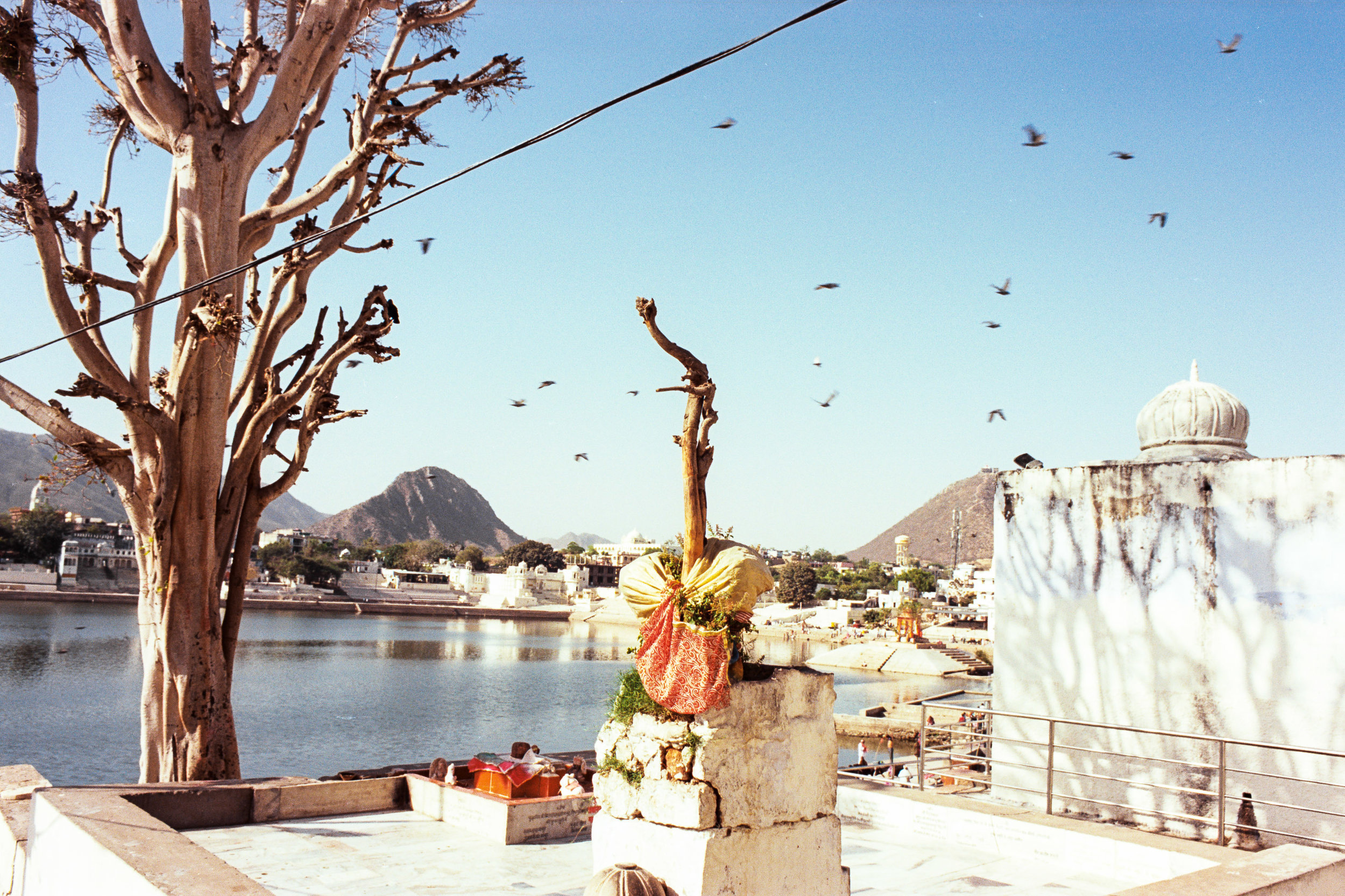 Pushkar, 2017