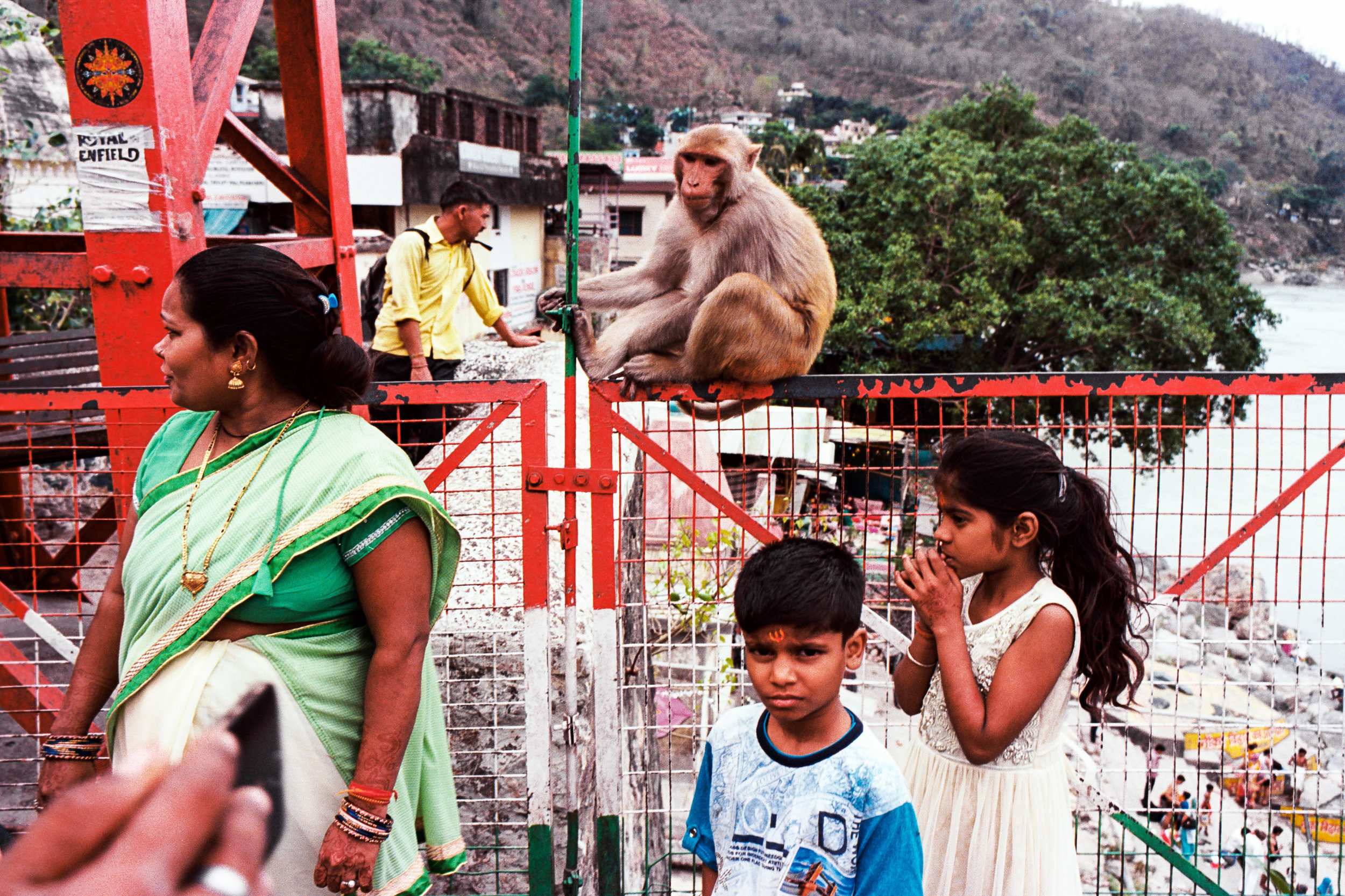 Rishikesh, 2017