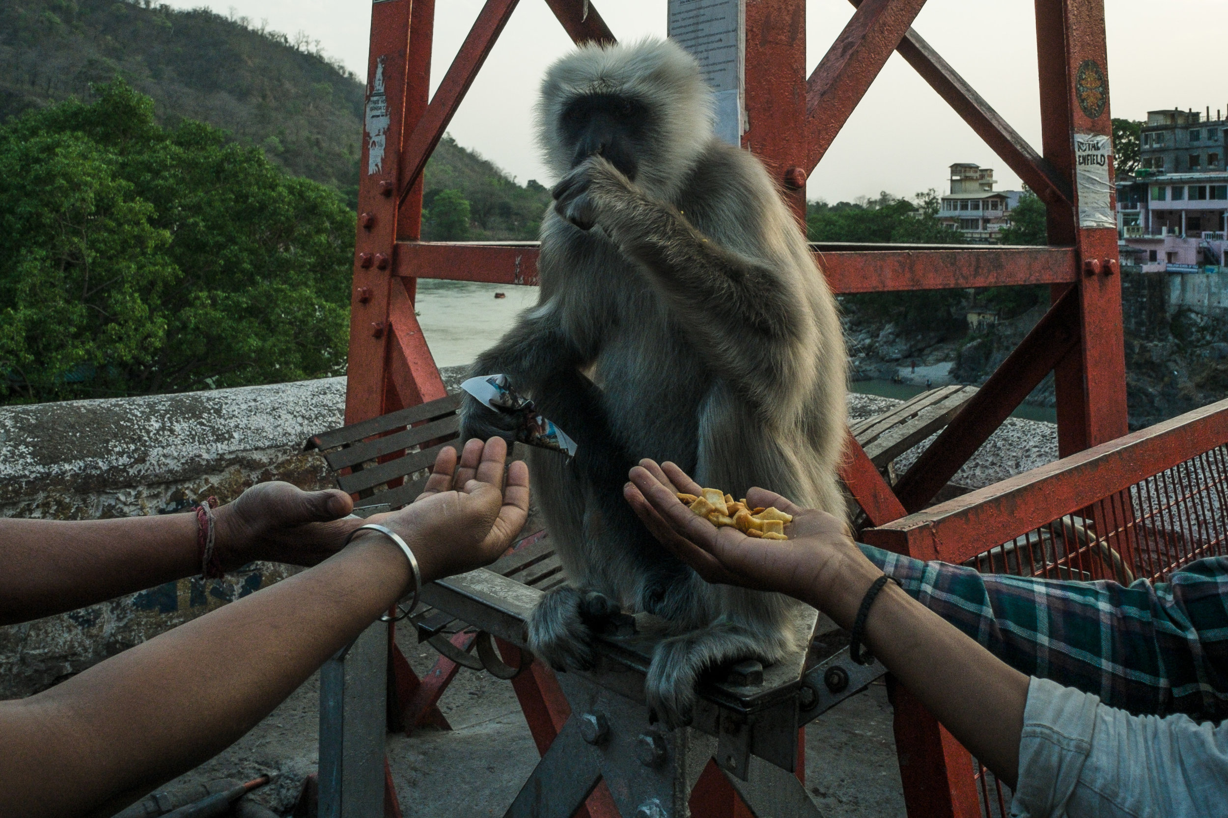 Rishikesh, 2017