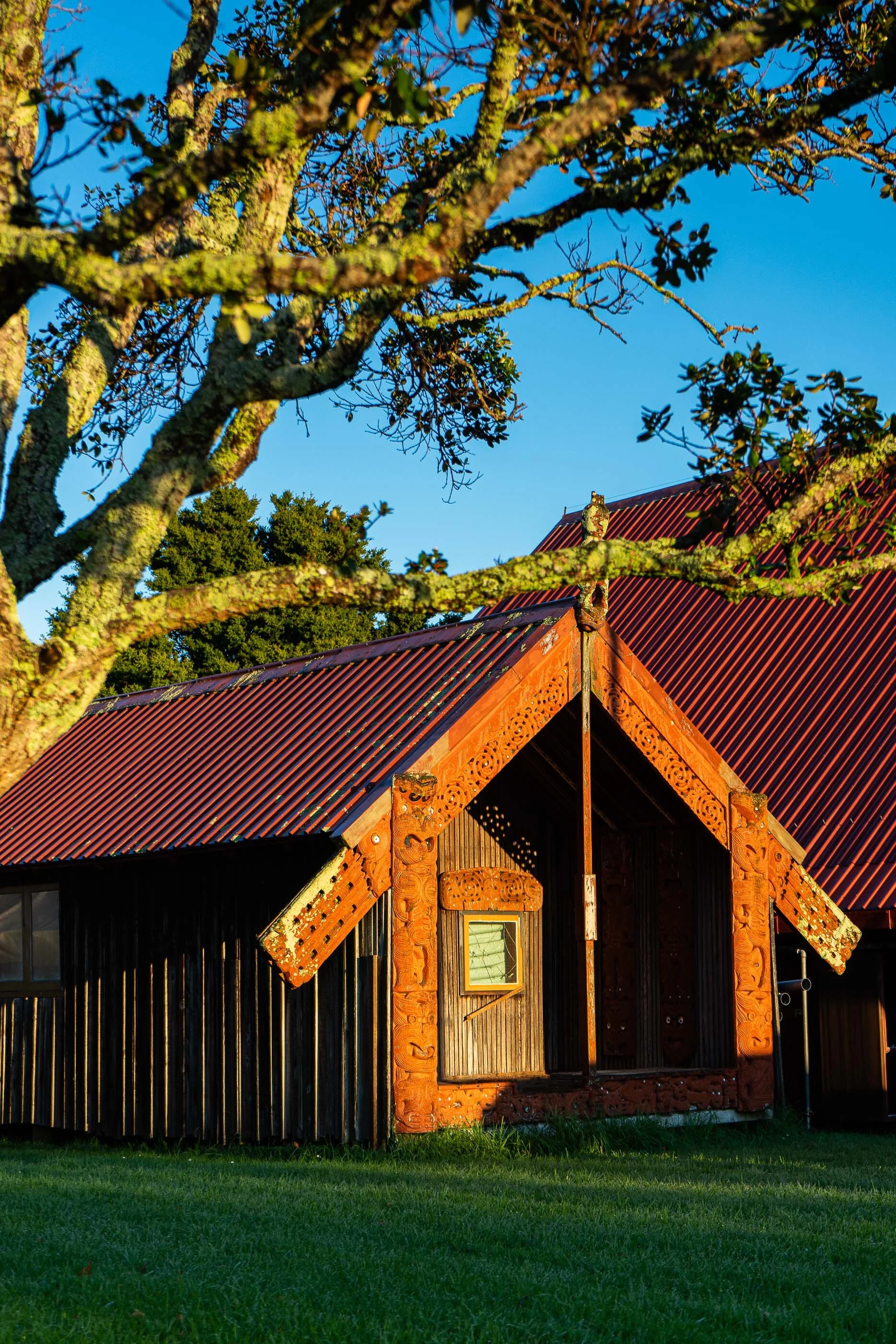 Ngāti Whātua Ōrākei