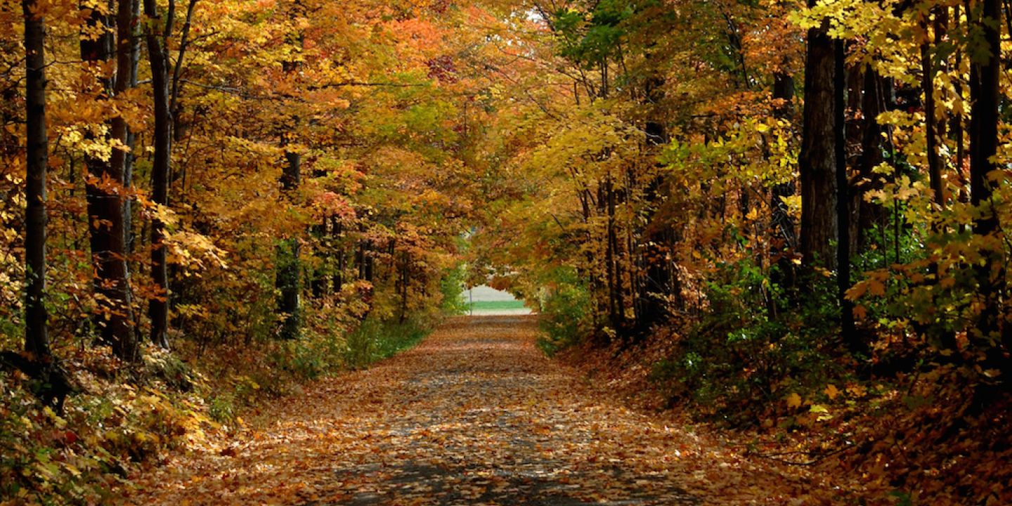fall_road_-_photo_credit_bill_banaszewski.jpg