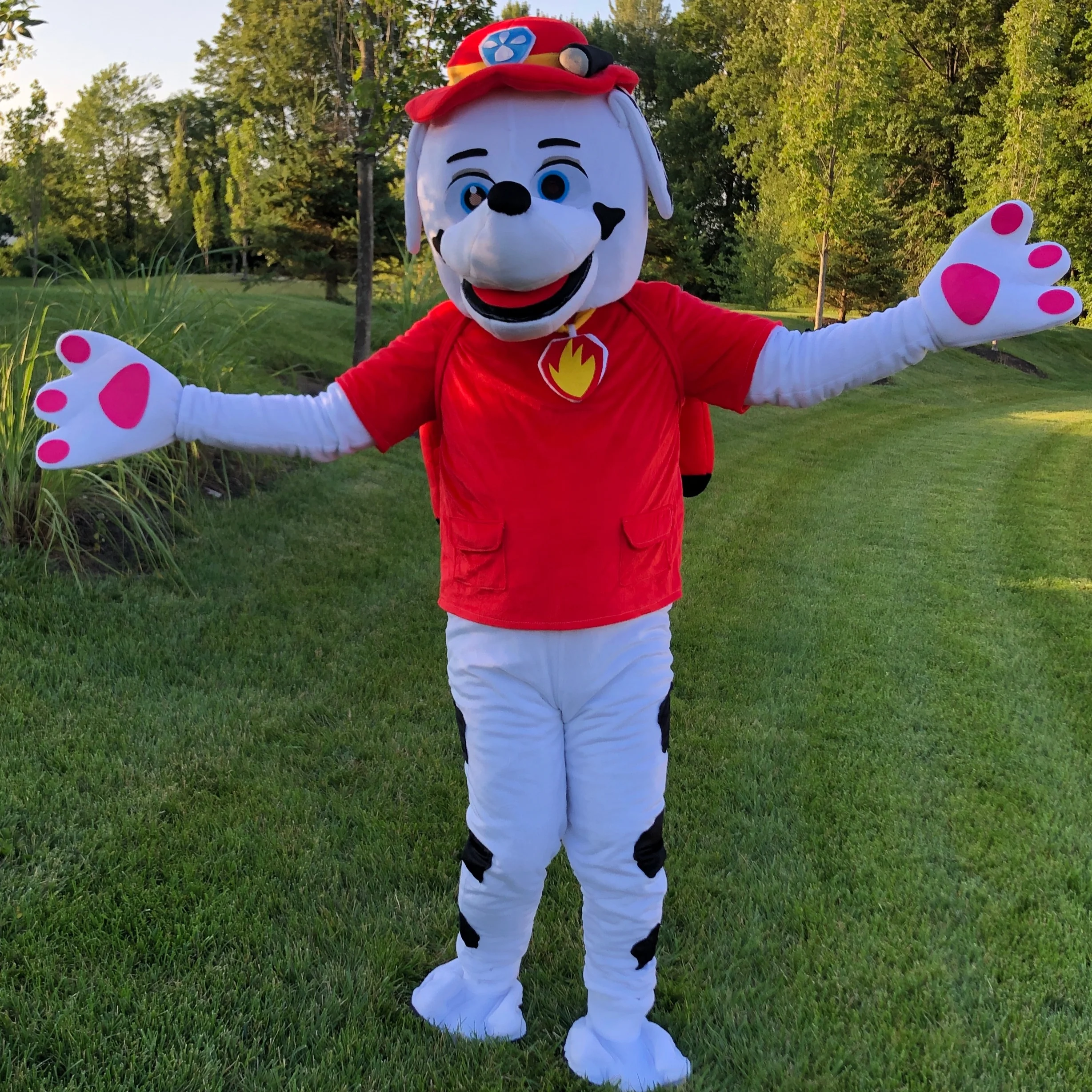 THE FIRE PATROL DOG