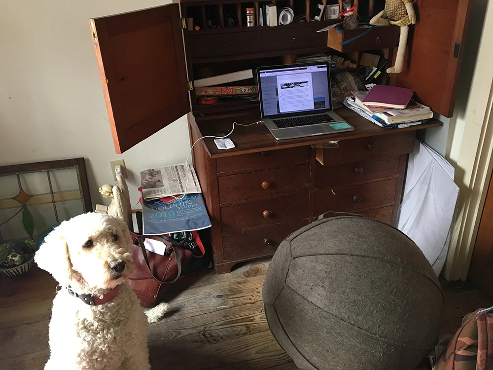 03.14.19 office.jpg